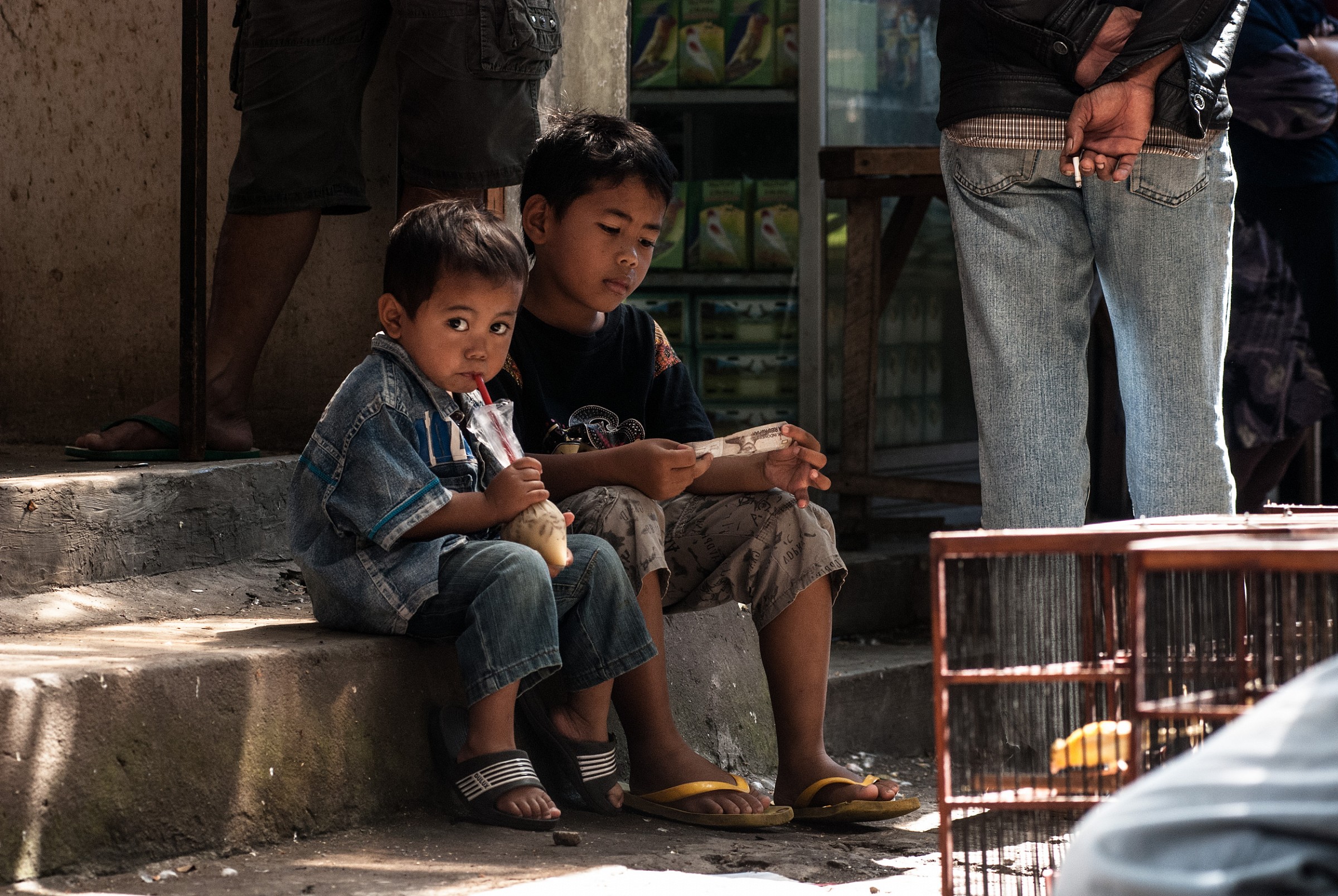 puppies to bird market