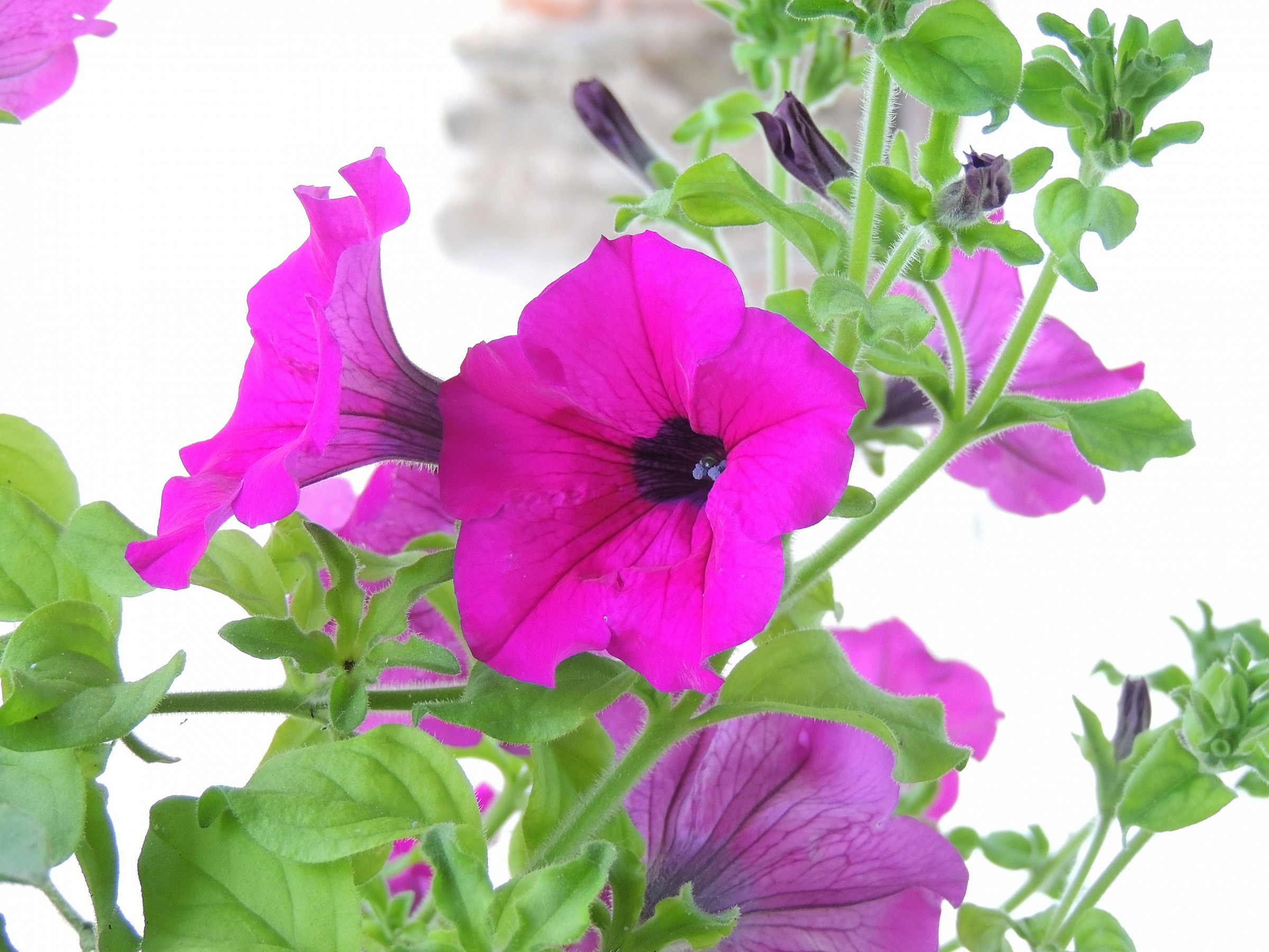 cosi......per provare