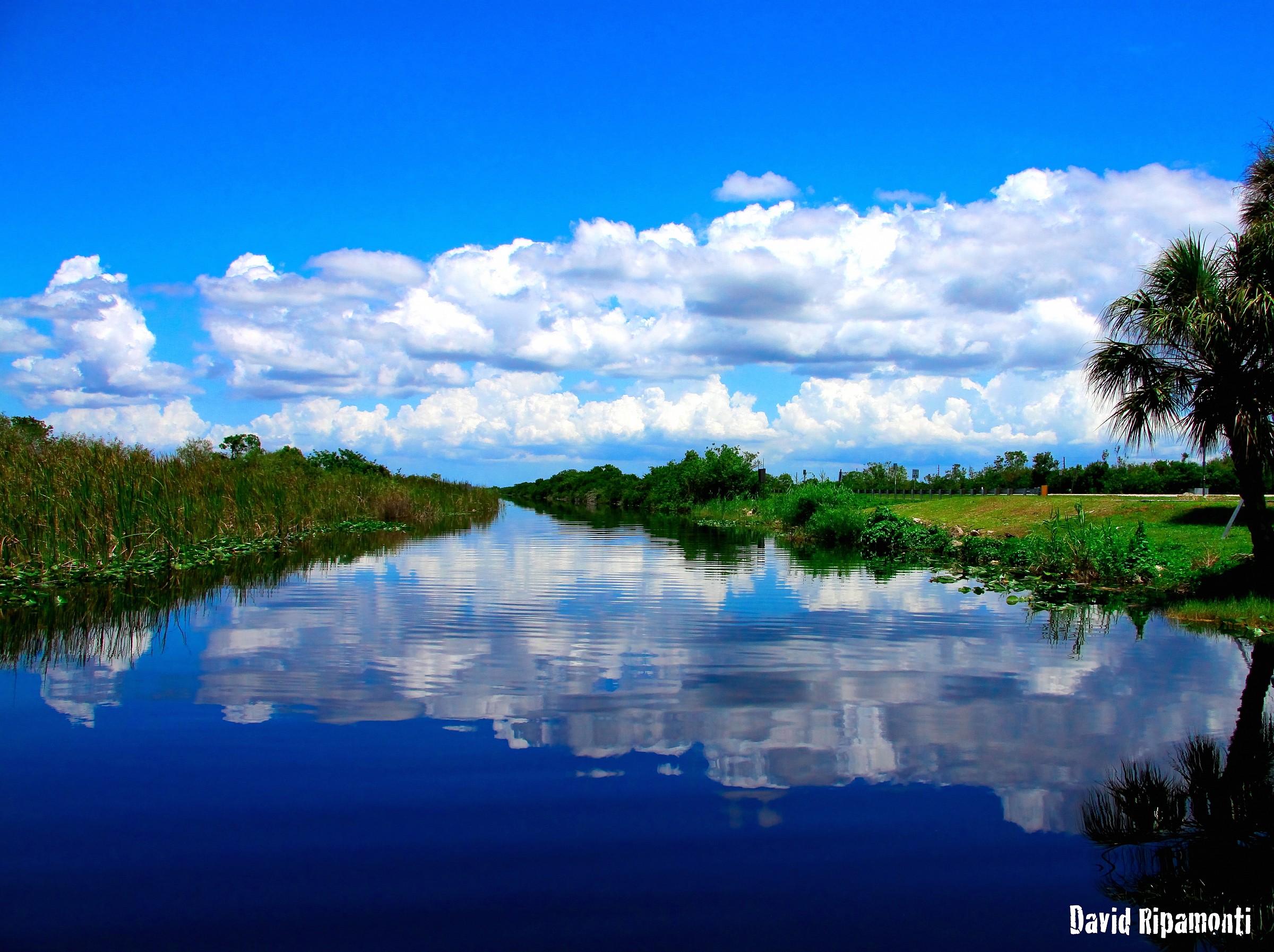 Everglades
