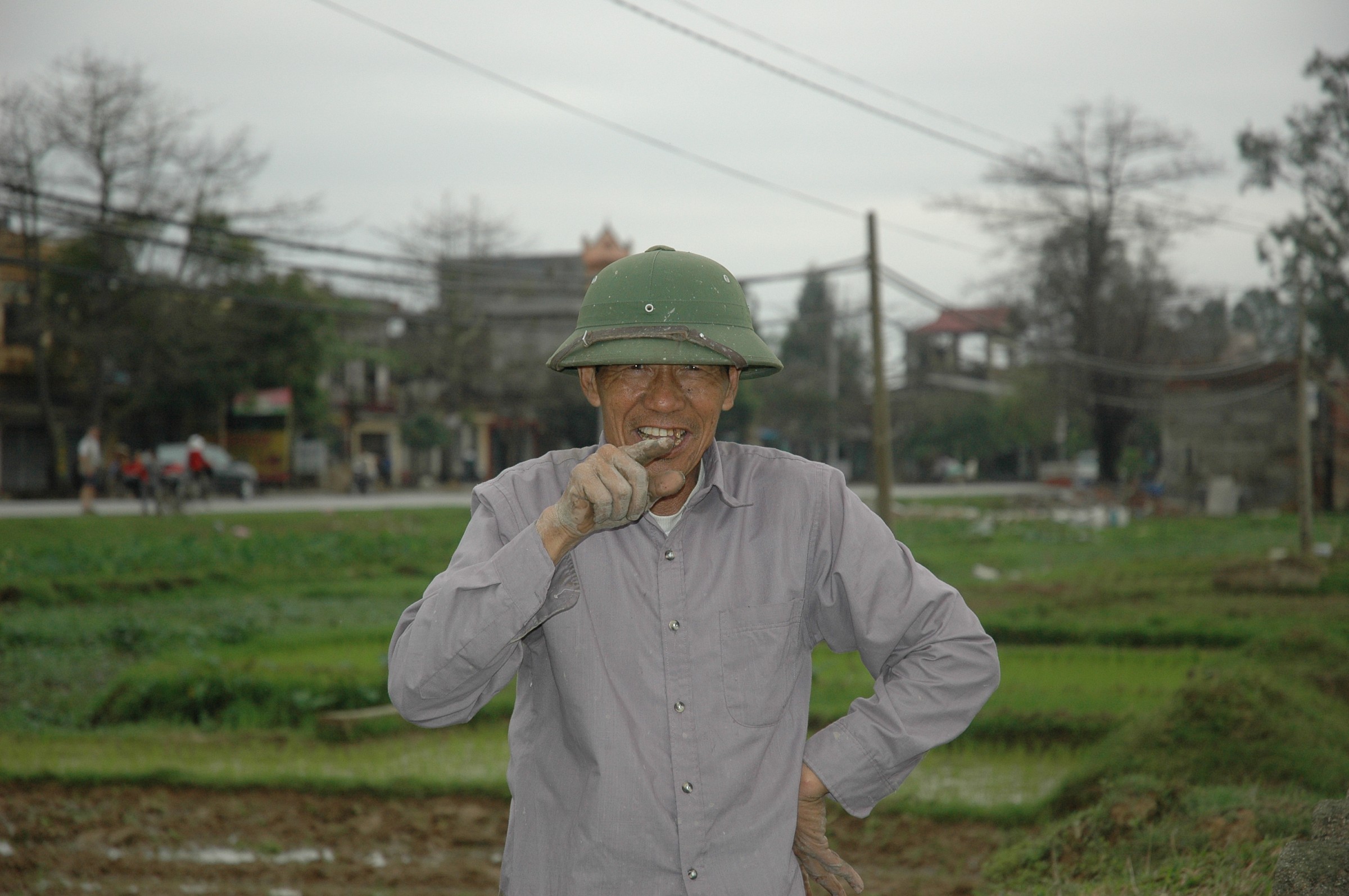 Rice paddies of Vietnam head