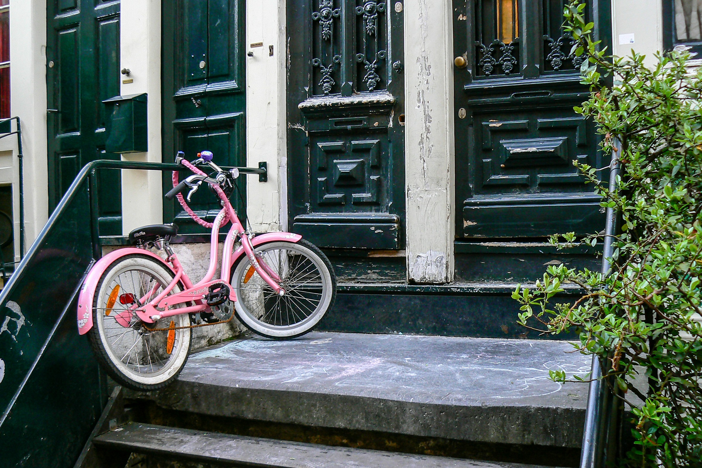 Una piccola rosa Bike