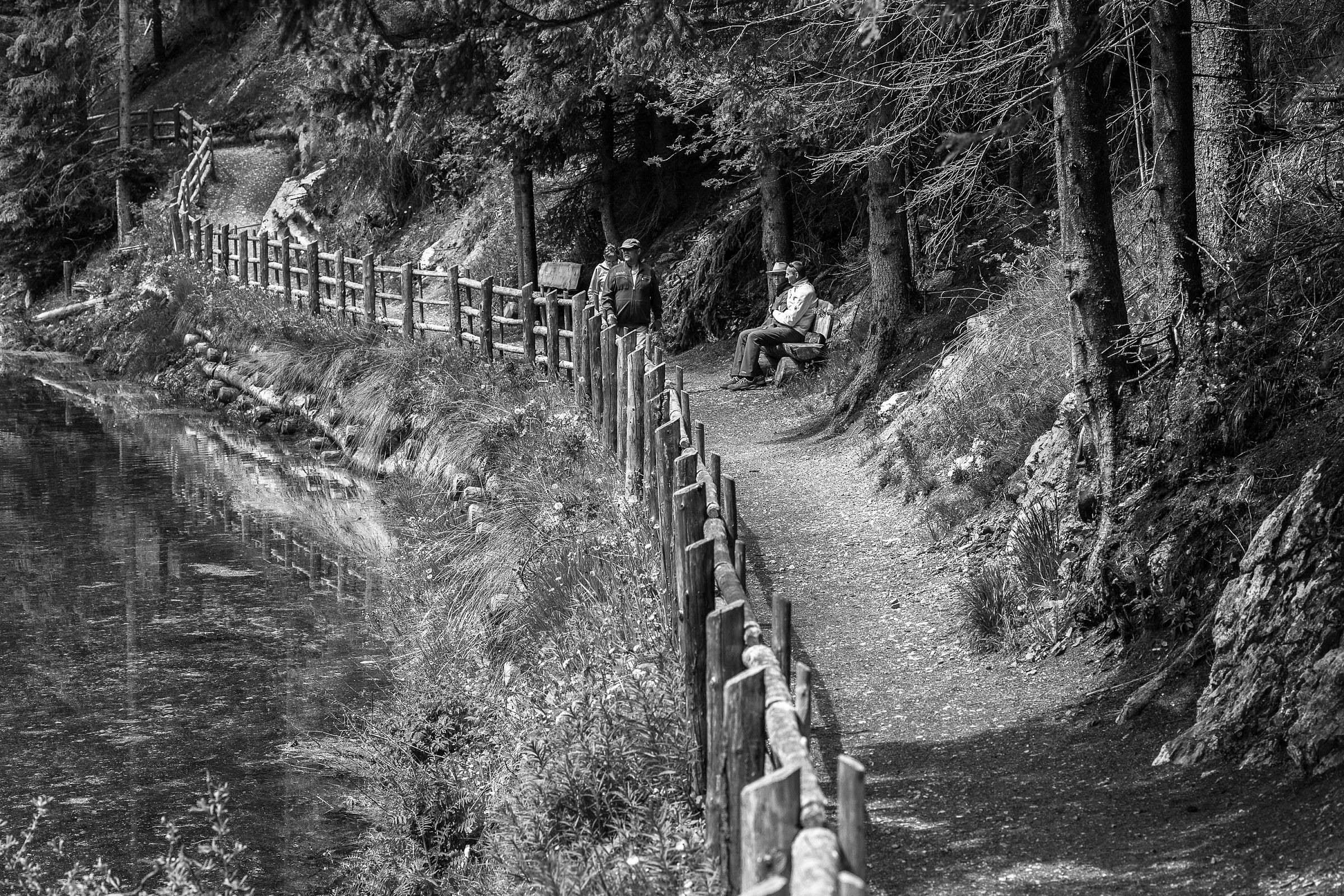 Lago di Carezza - Scorcio 2