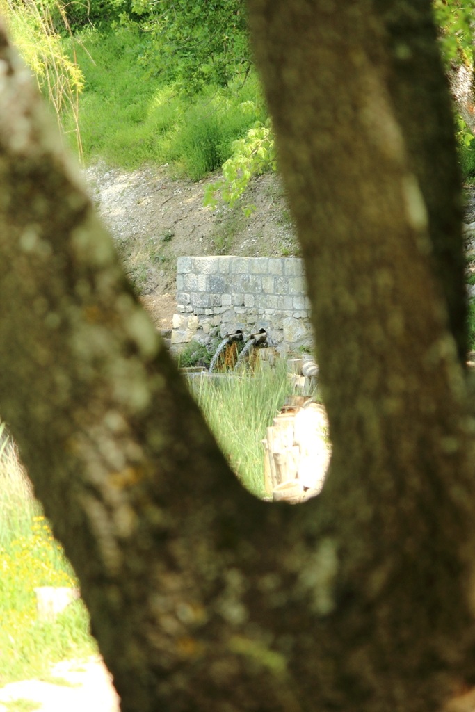 La Fontana alla N'Gacchia