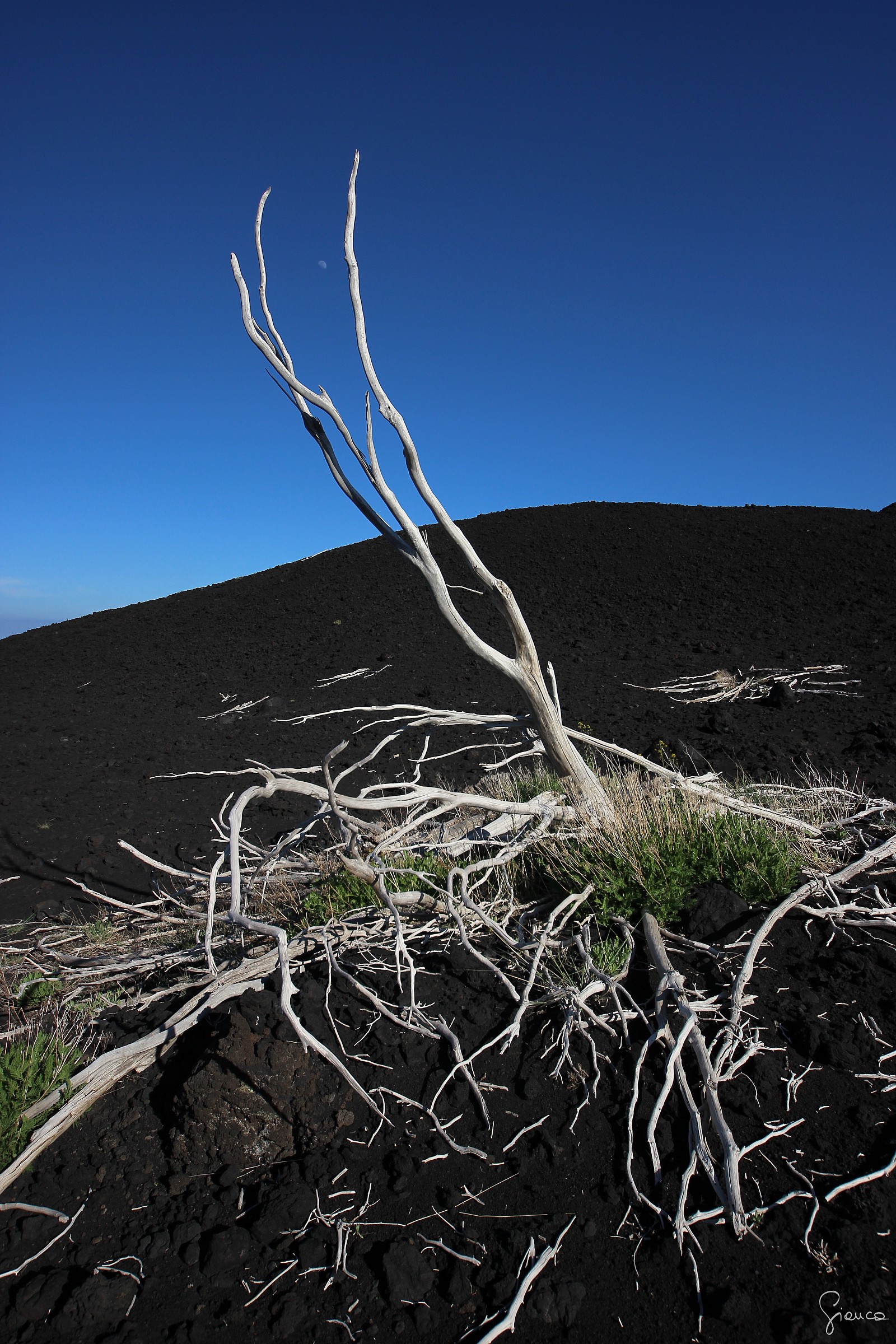 The "Life" Etna 2