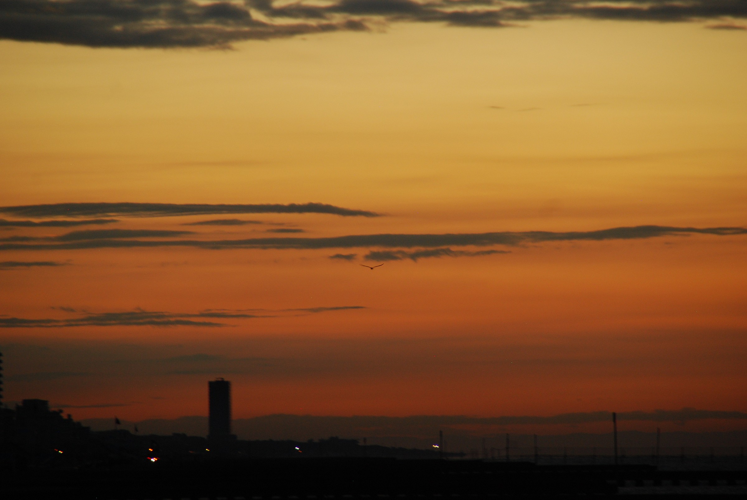 n°4 Jesolo 29 agosto 2013 ore 6.11.55