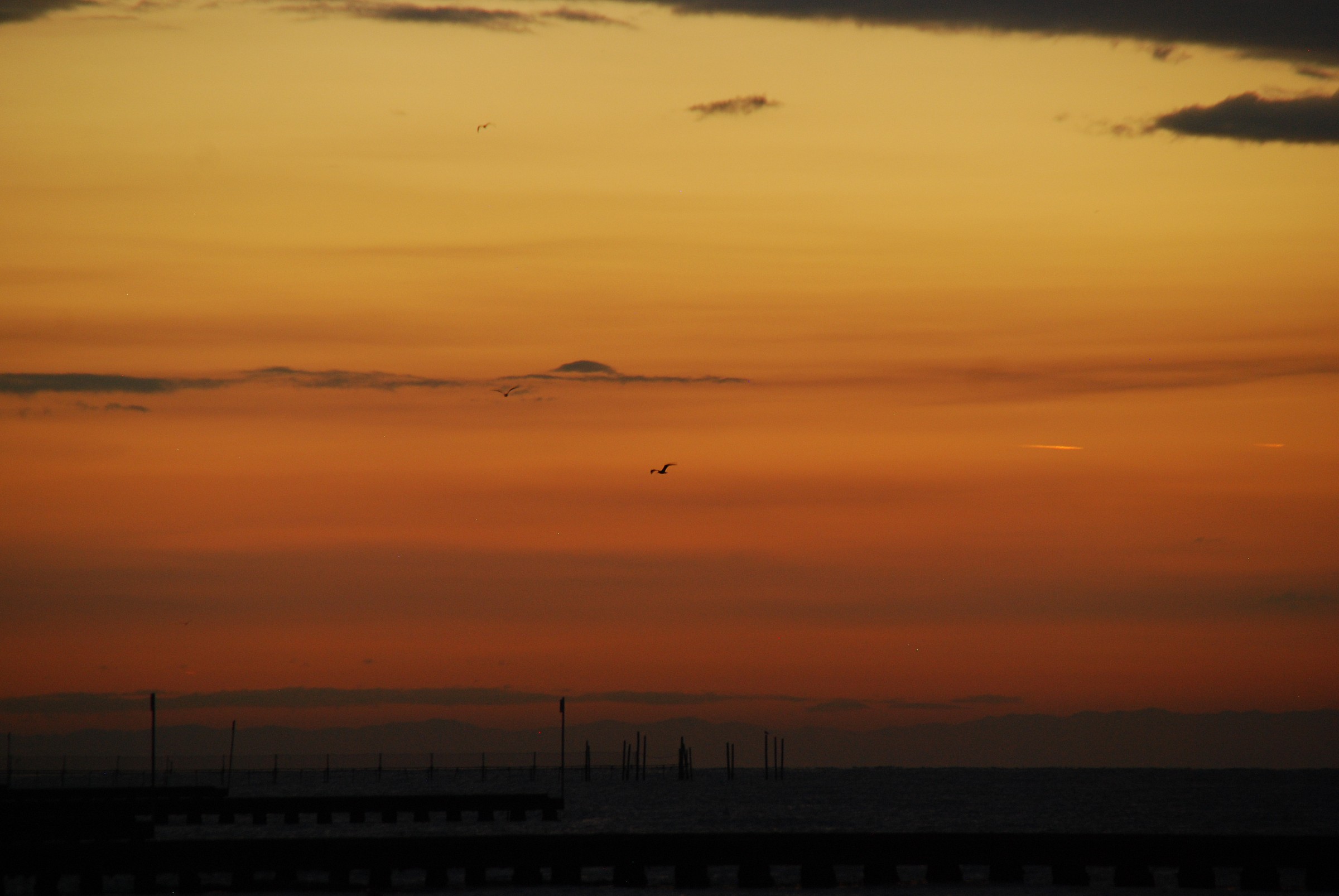 No. 5 Jesolo August 29, 2013 6:15:33 ore