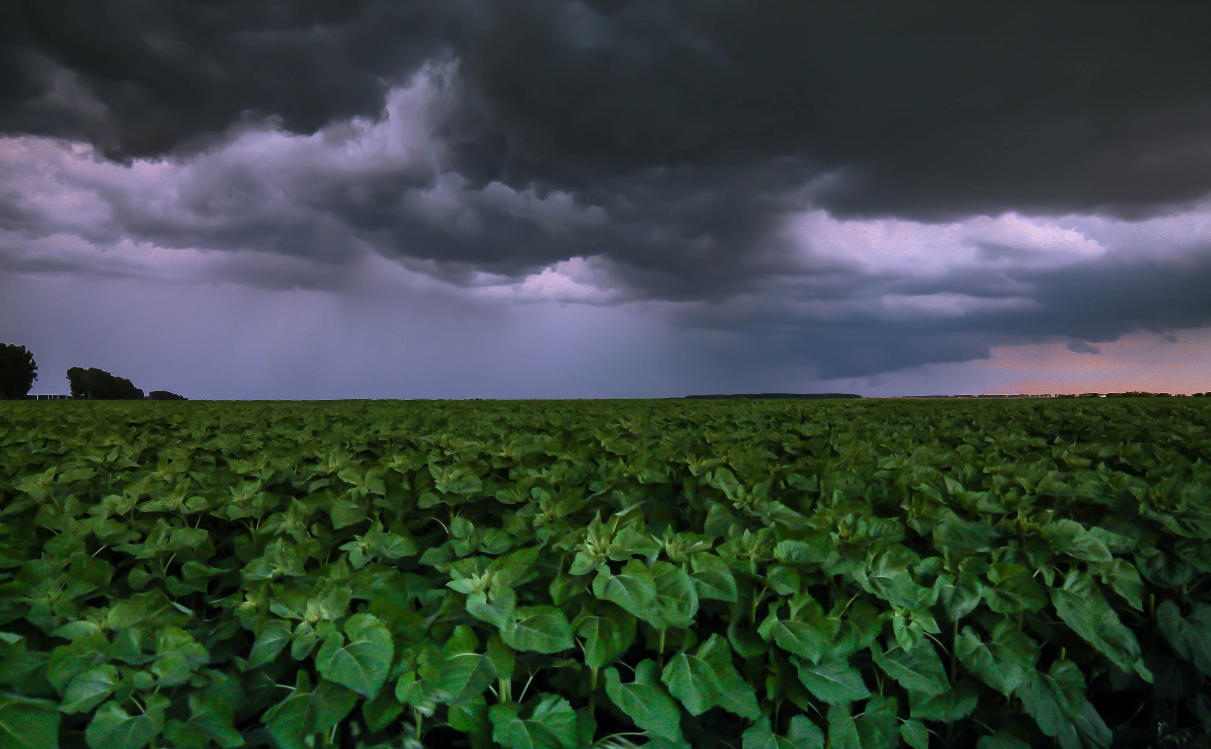 it seems it's gonna rain