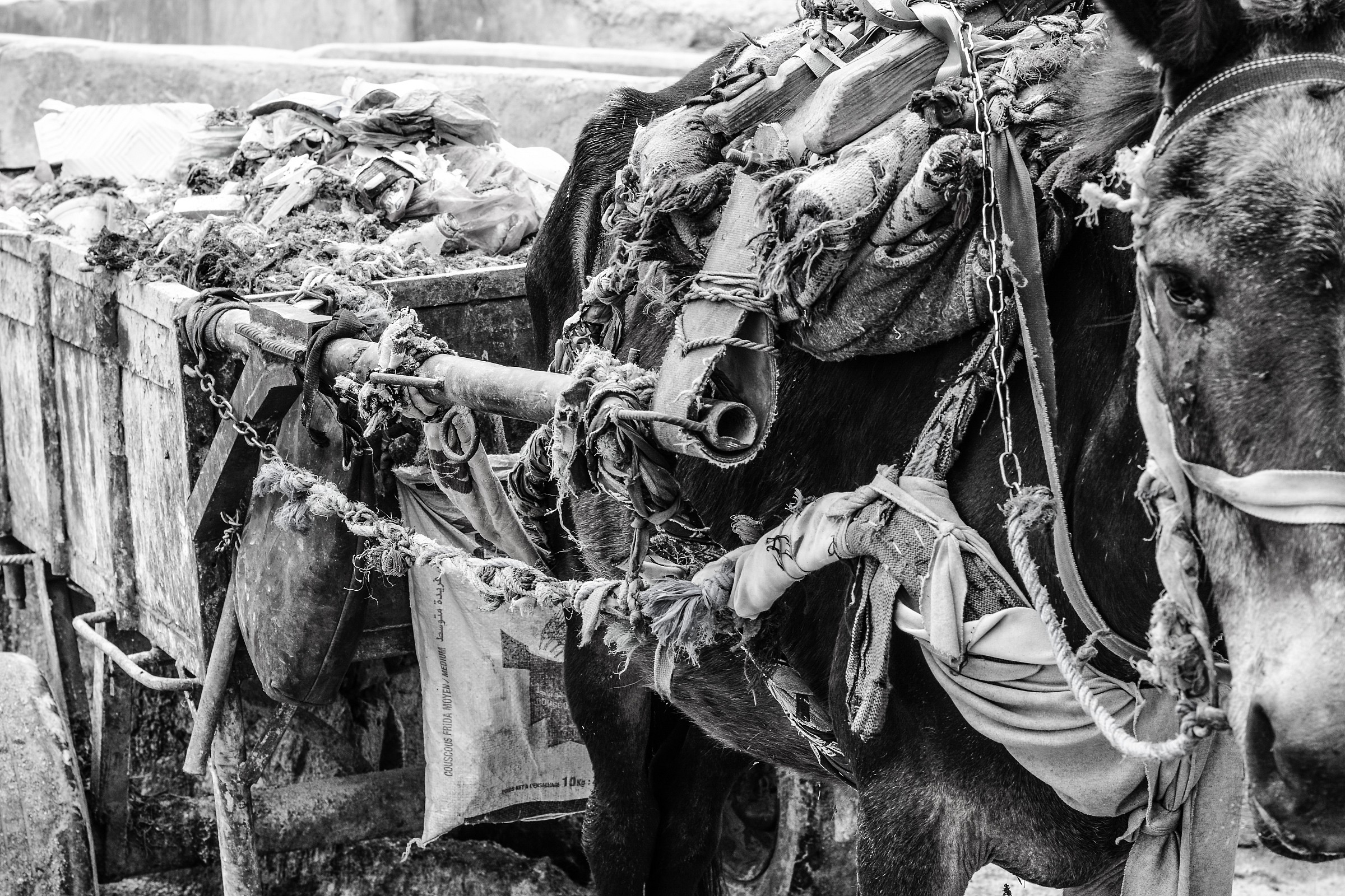 Sembra il passato, ma è oggi