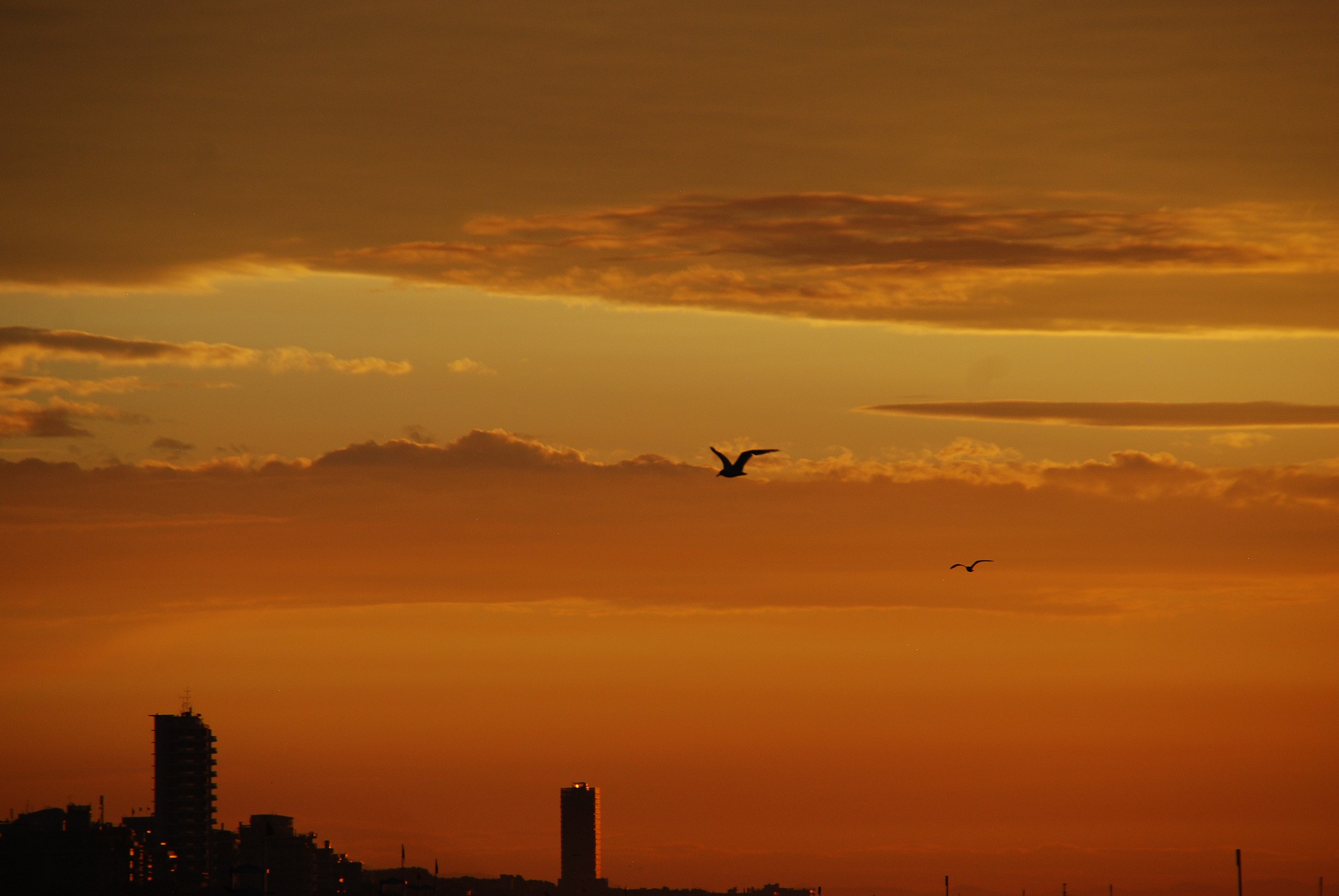 n°2 Jesolo 29 agosto 2013 ore 6.36.17