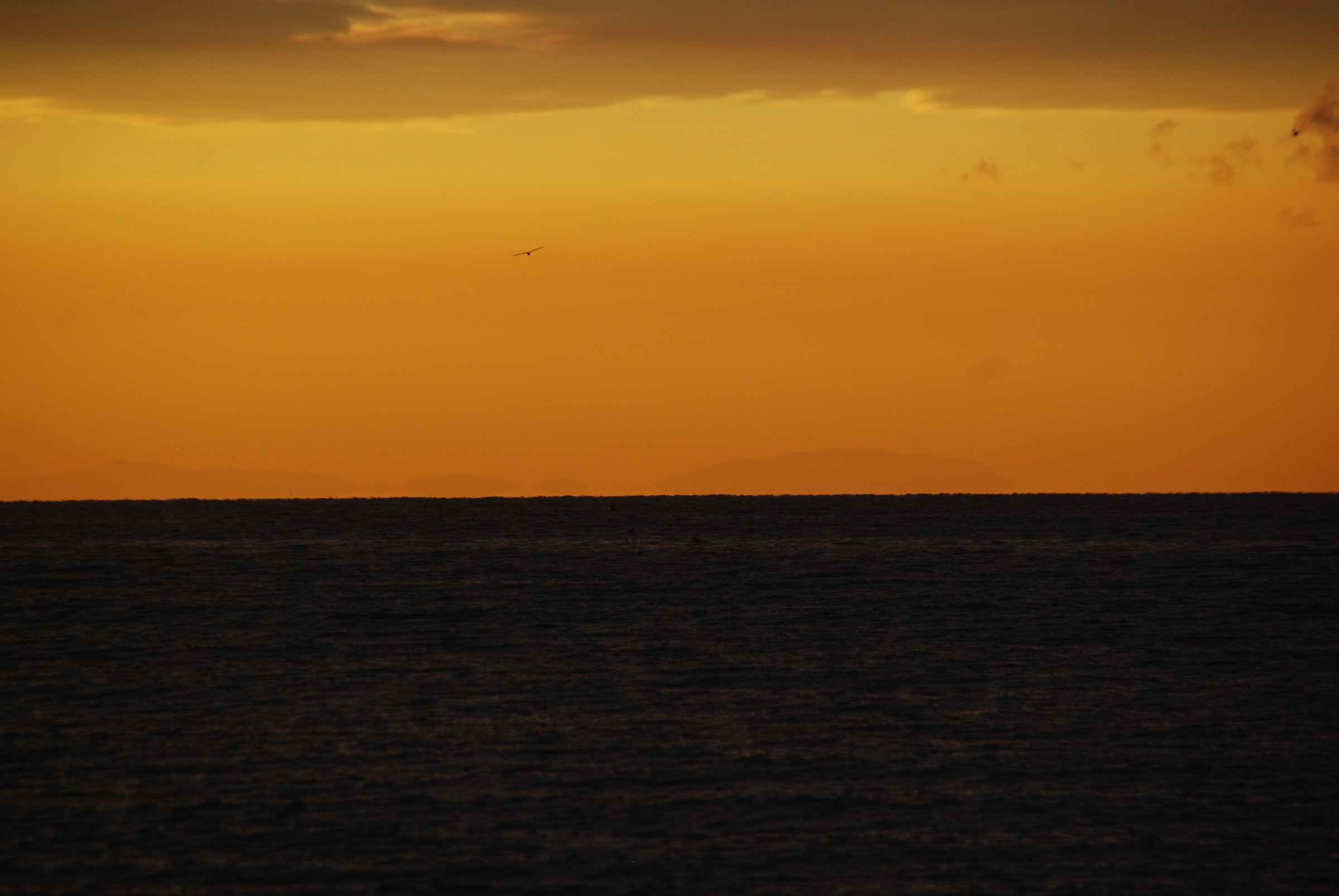 No. 6 Jesolo August 28, 2013 6:41:00 ore