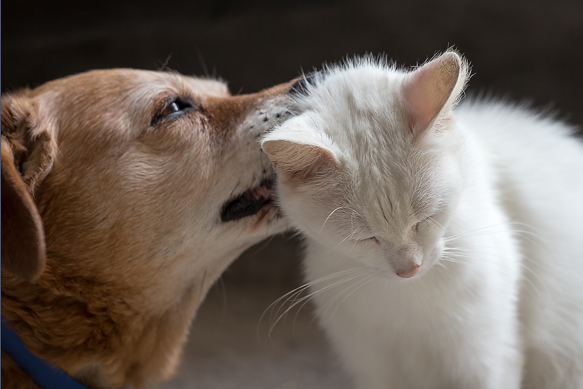 Pulizie di primavera