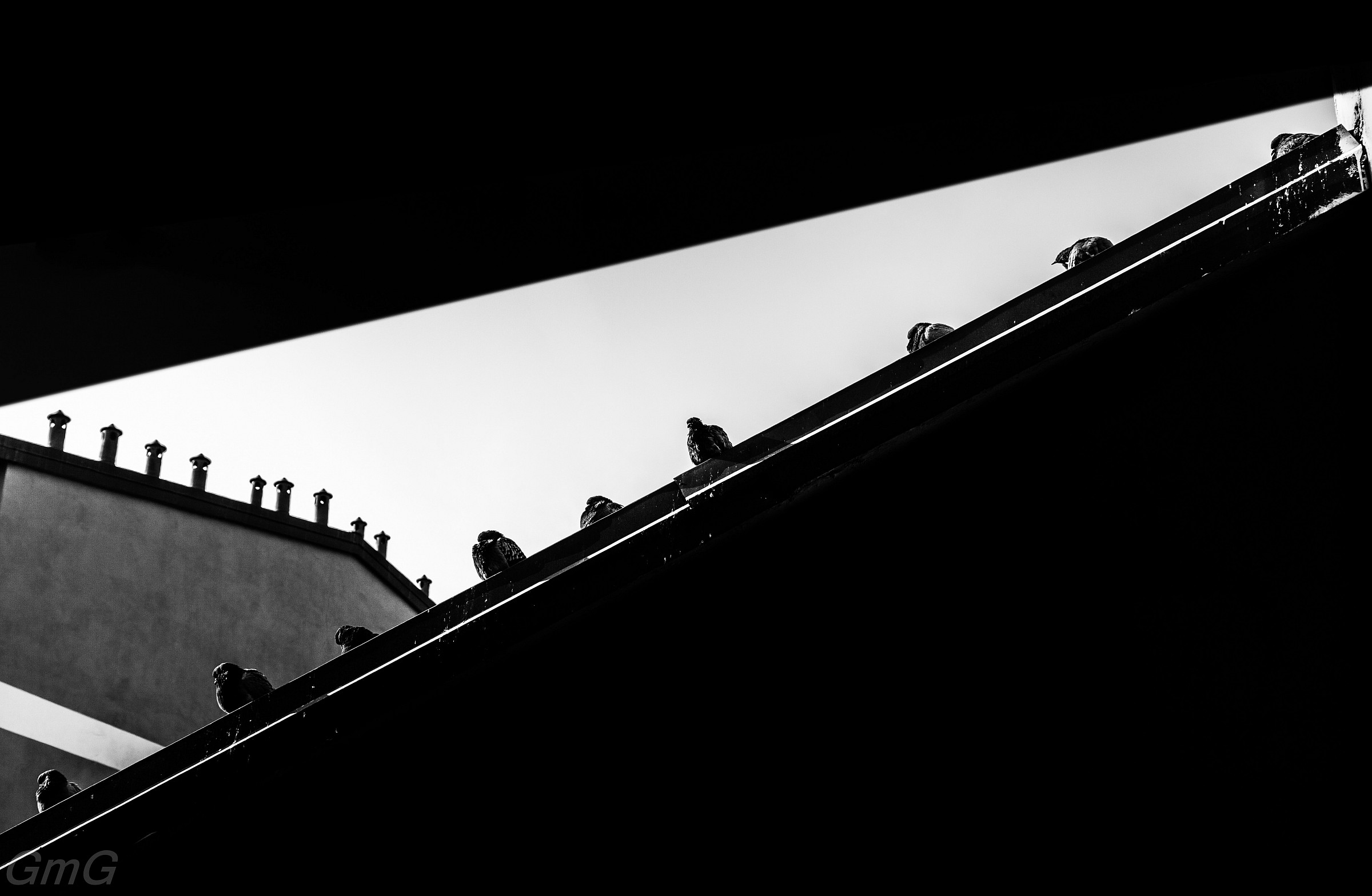 Pigeons & chimney pots