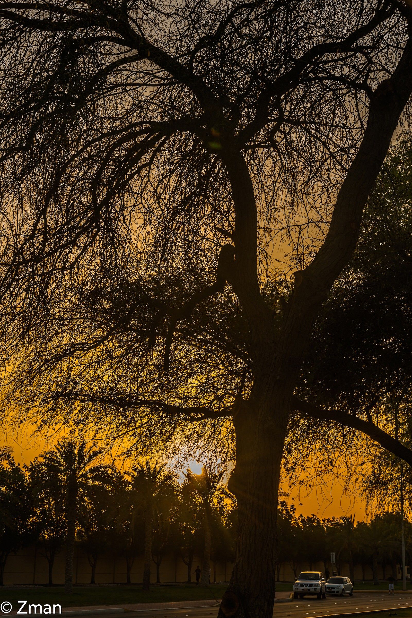 Sunset on My Way from The Golf Course