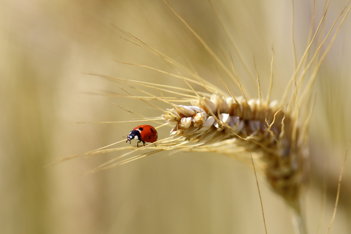 And now ... you just have to fly!