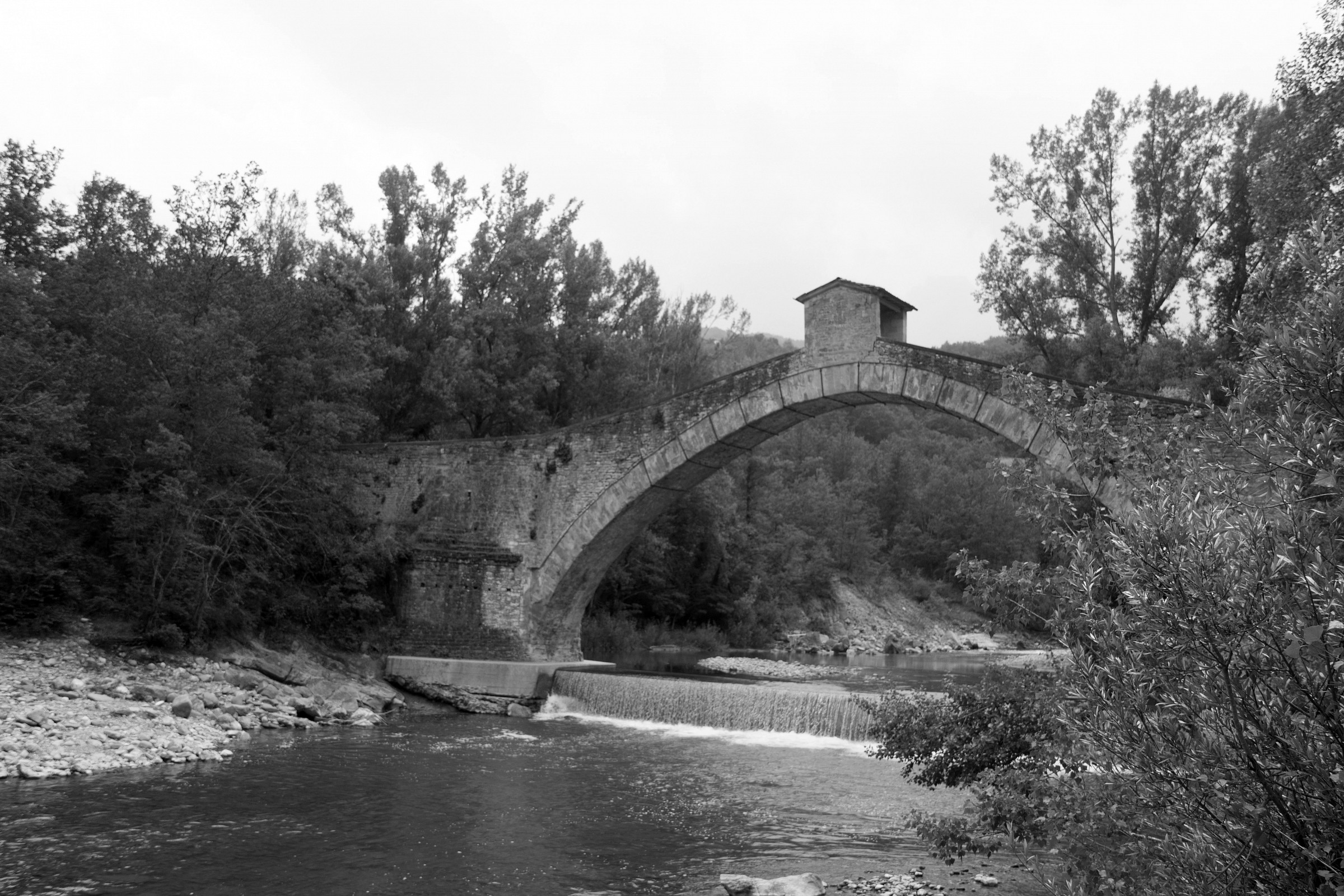 Bridge Olina