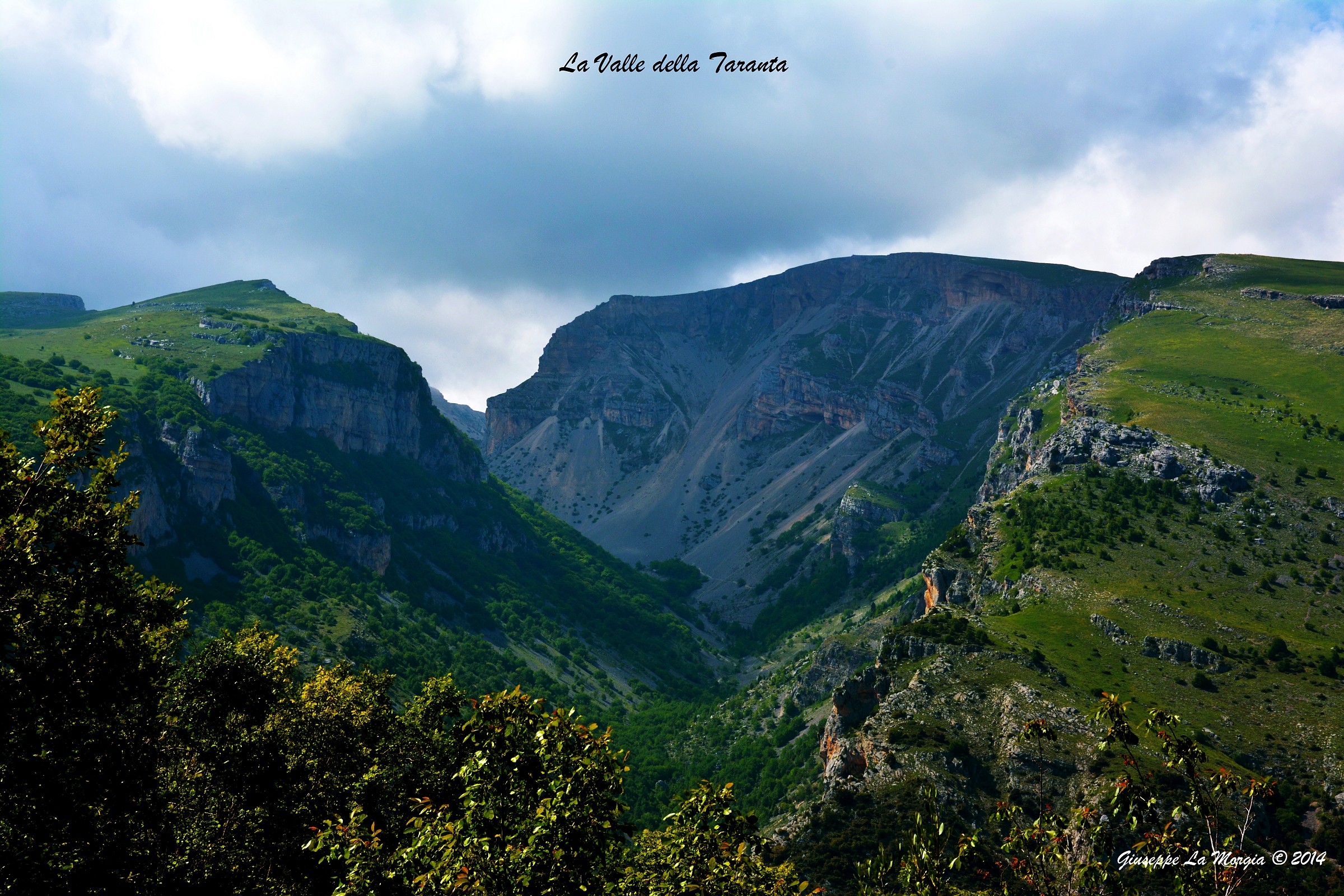 Valle della Taranta. Majella Abruzzo Italia