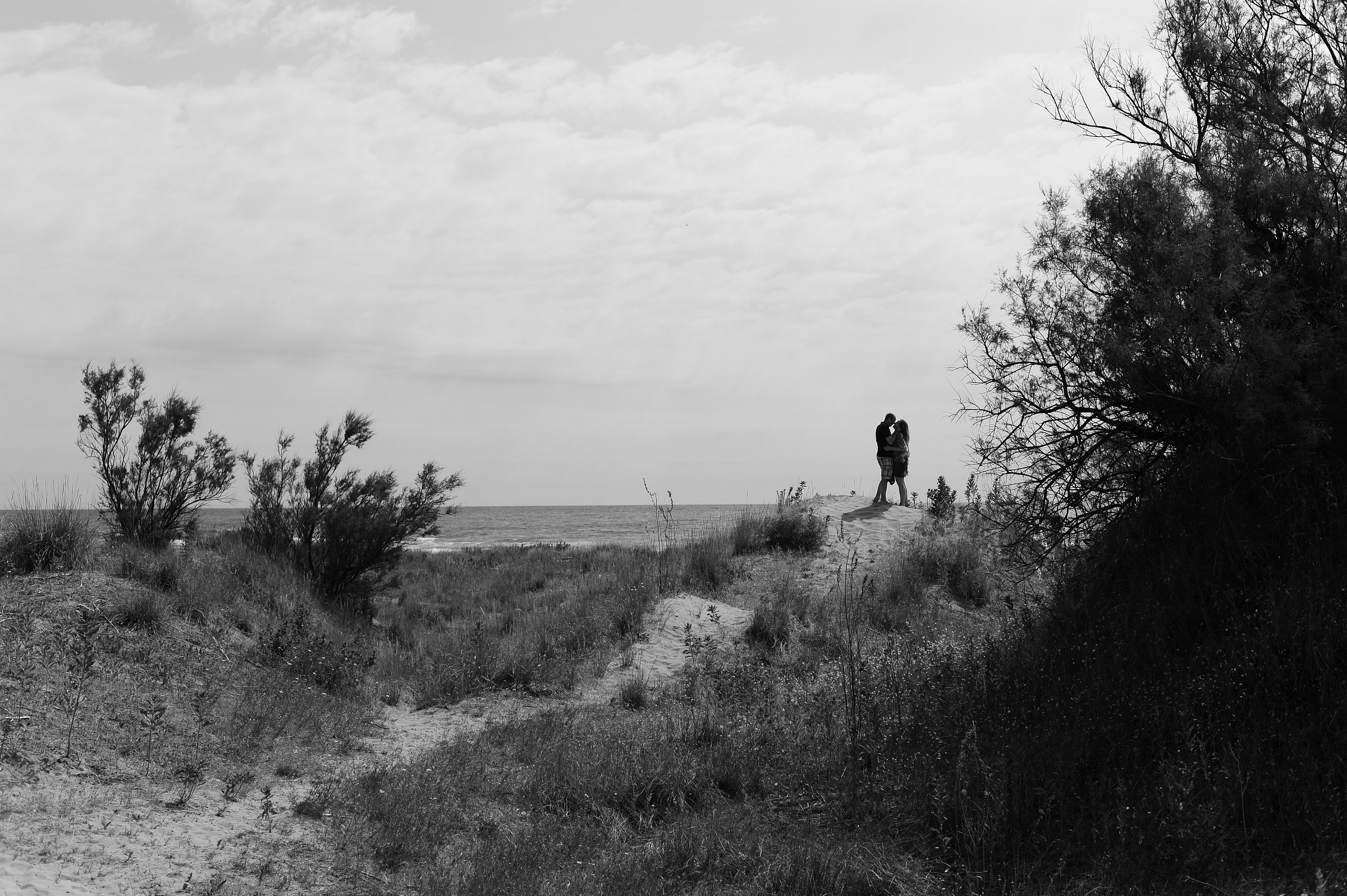 Romantic Monochrome 2