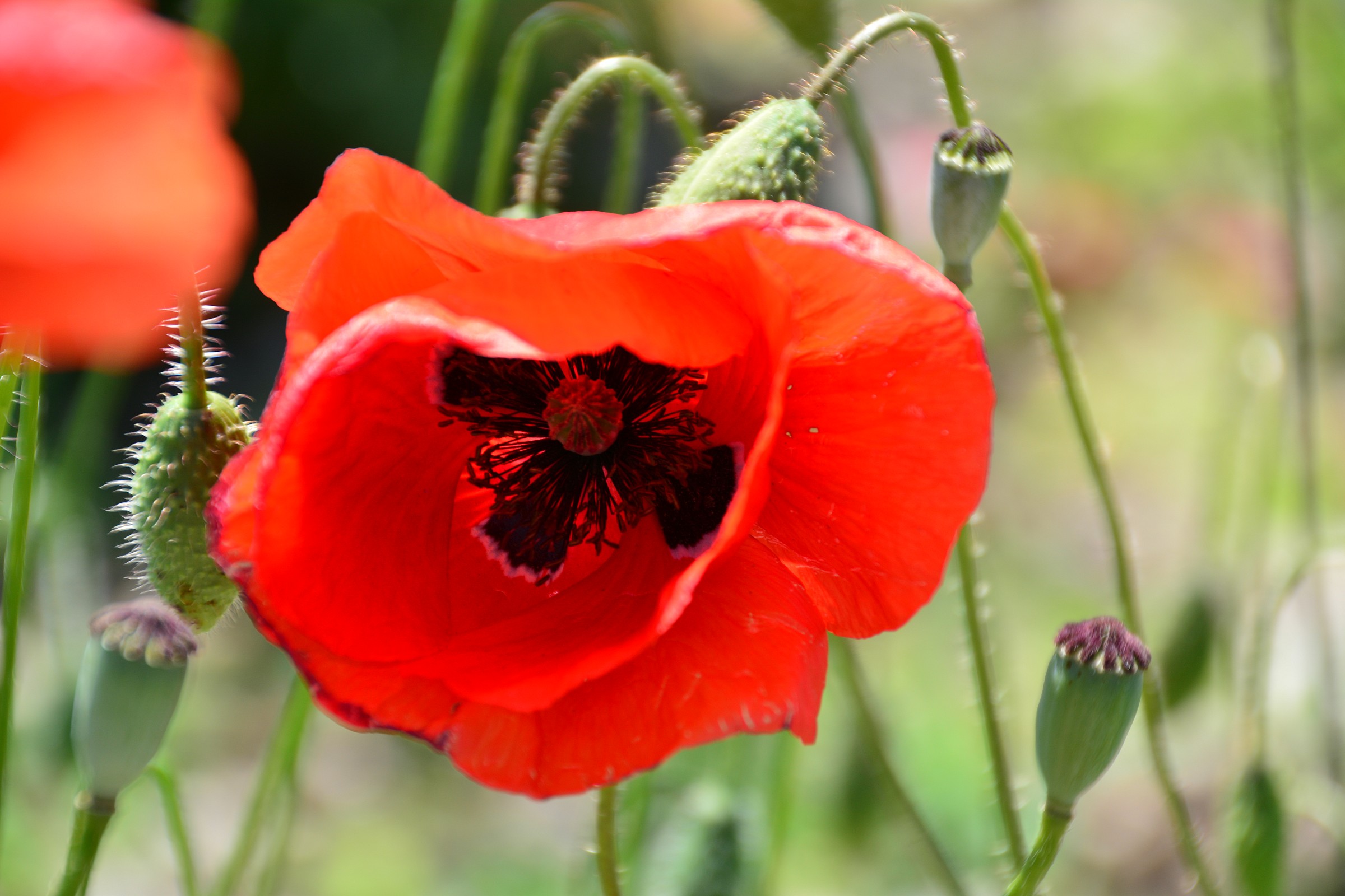 No. 7 hours 14:26:02