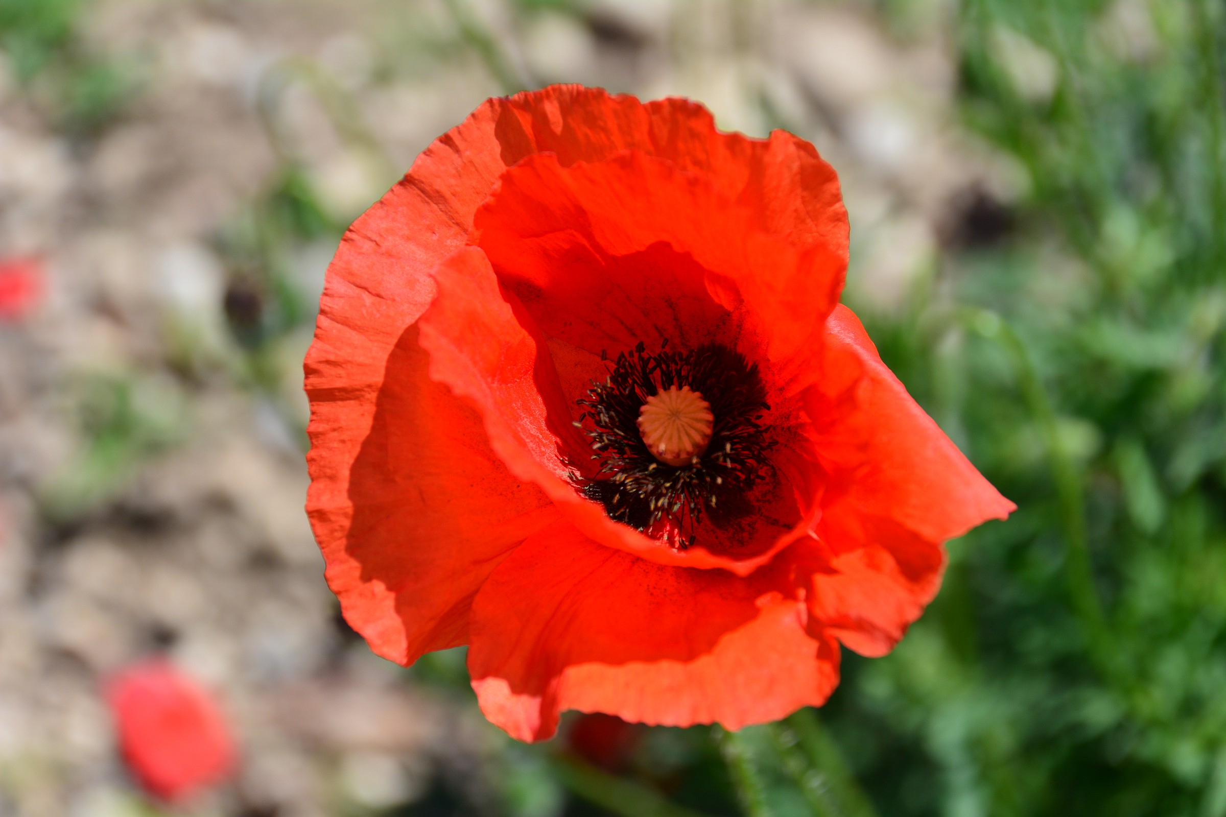 No. 8 hours 14:28:20