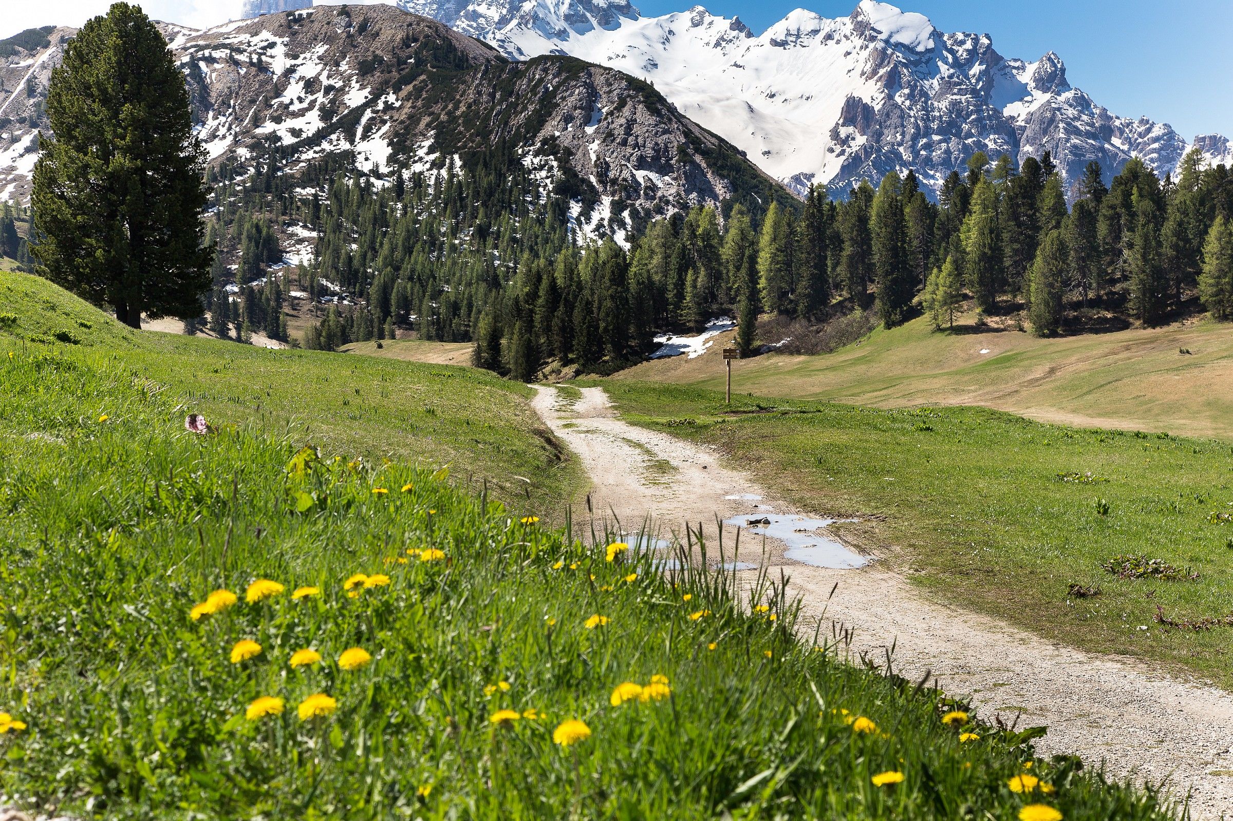 Prato Piazza - Scorcio 1