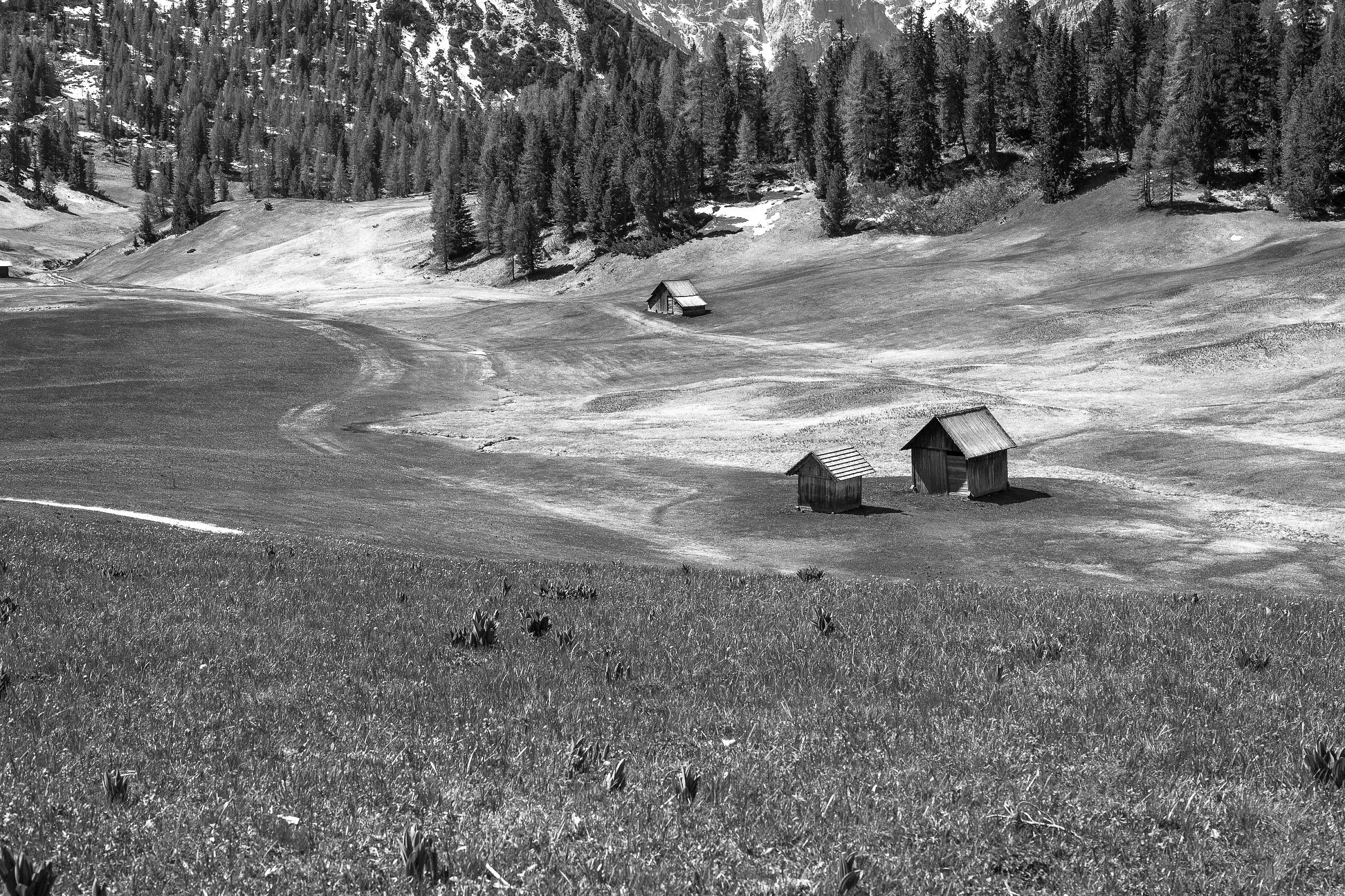 Prato Piazza - scorcio 3