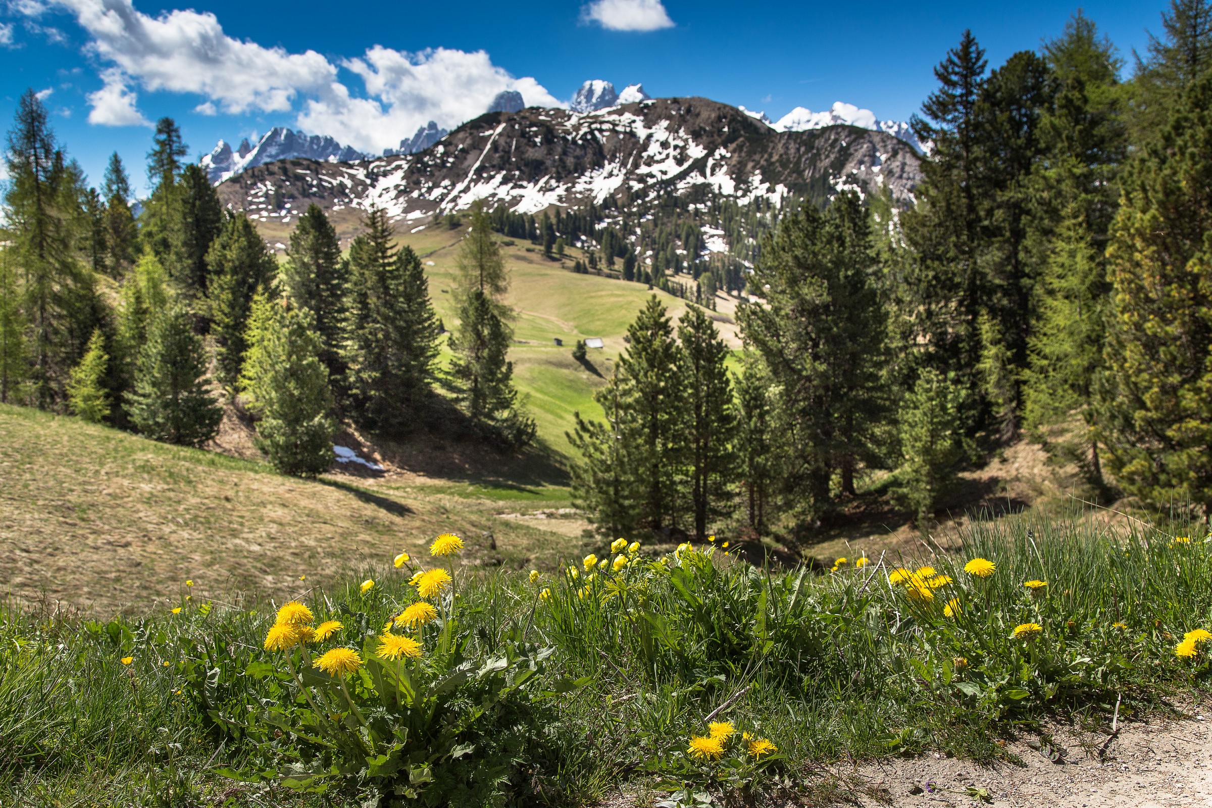 Prato Piazza - scorcio 4