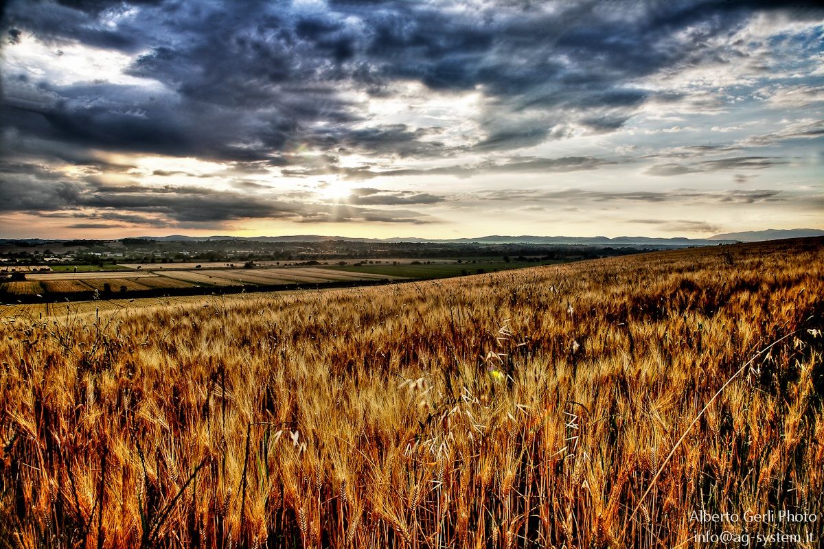 Contrasti in Val di Chiana