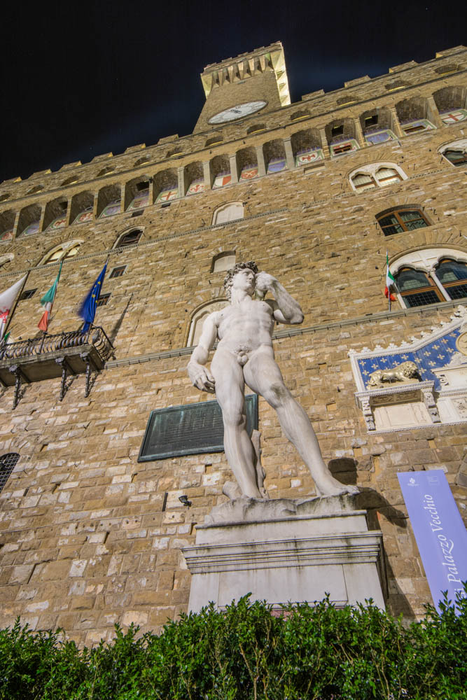 Palazzo Vecchio and david