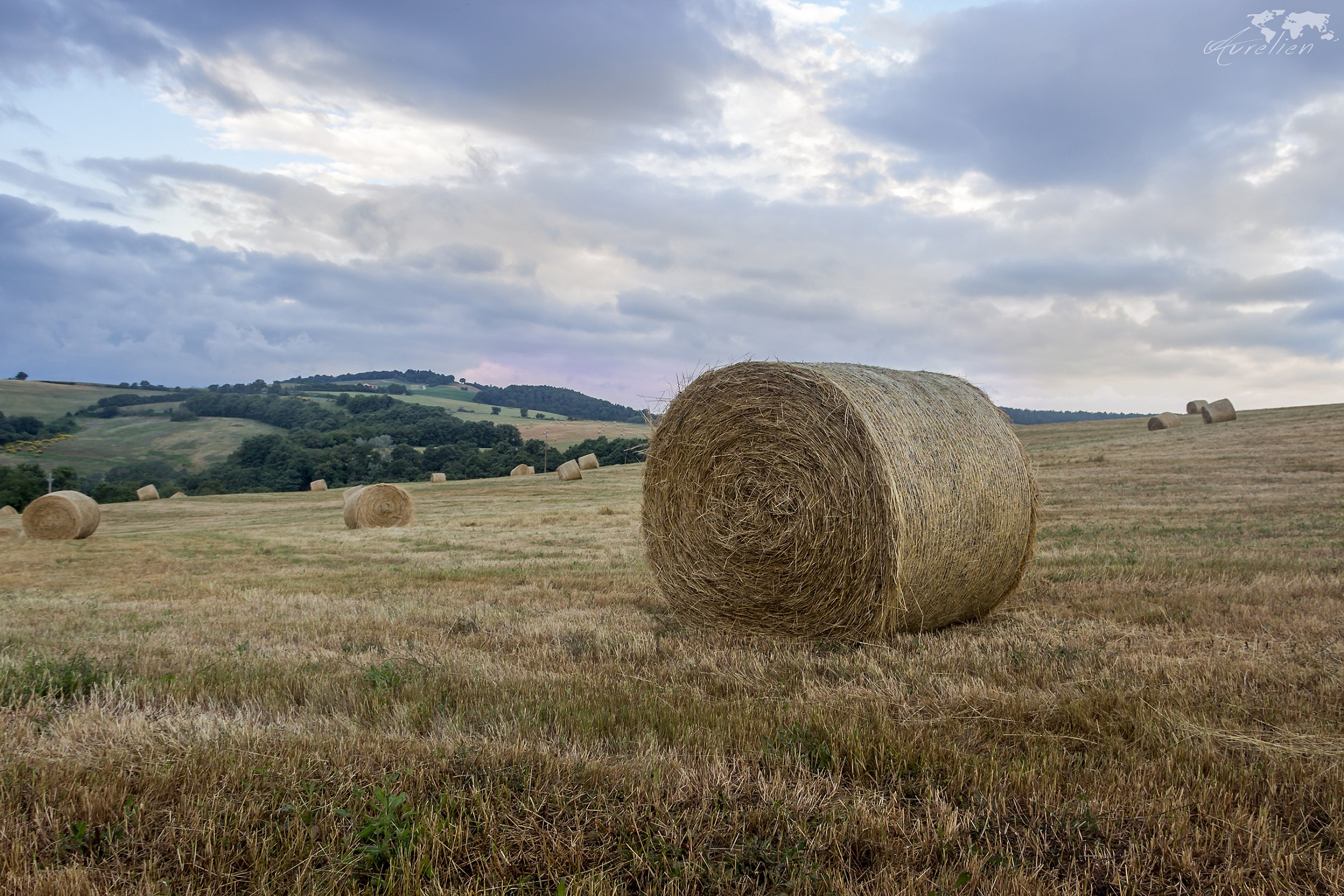 fields of Montepulciano