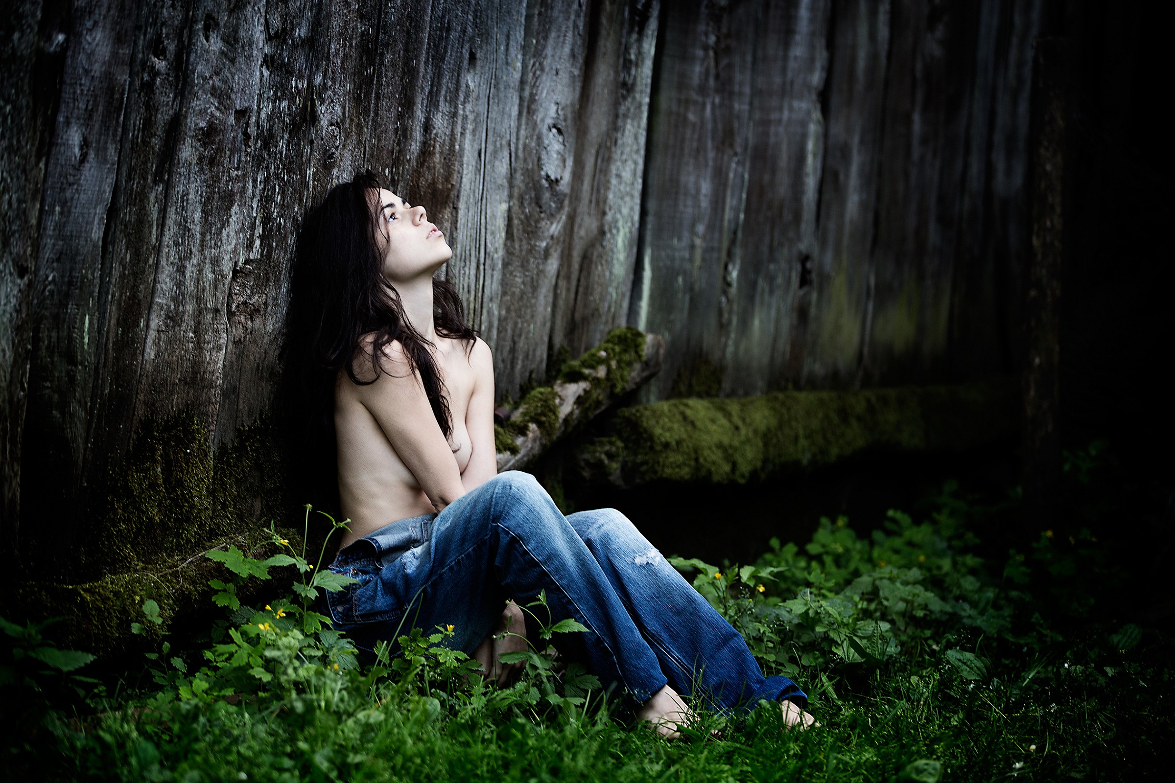 First light in the forest