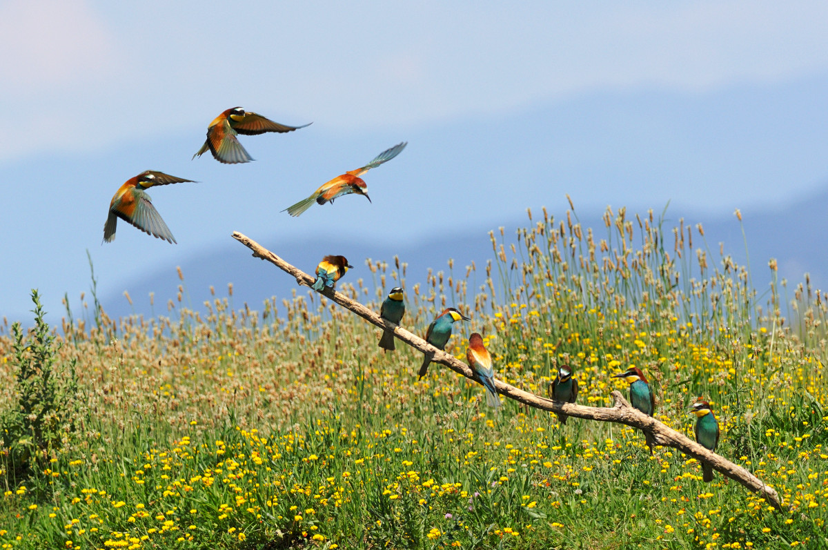 There is room for everyone!