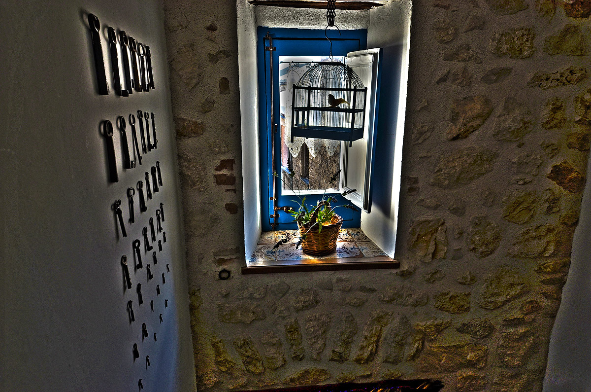 Window cage (with bird fake) :-)