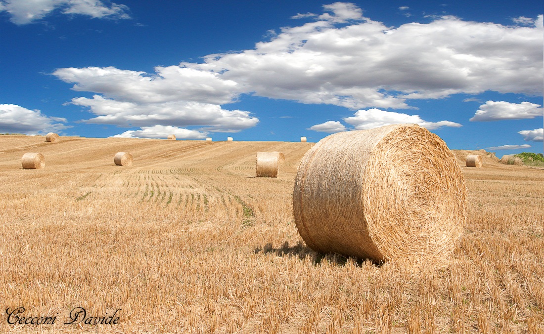 Round bales