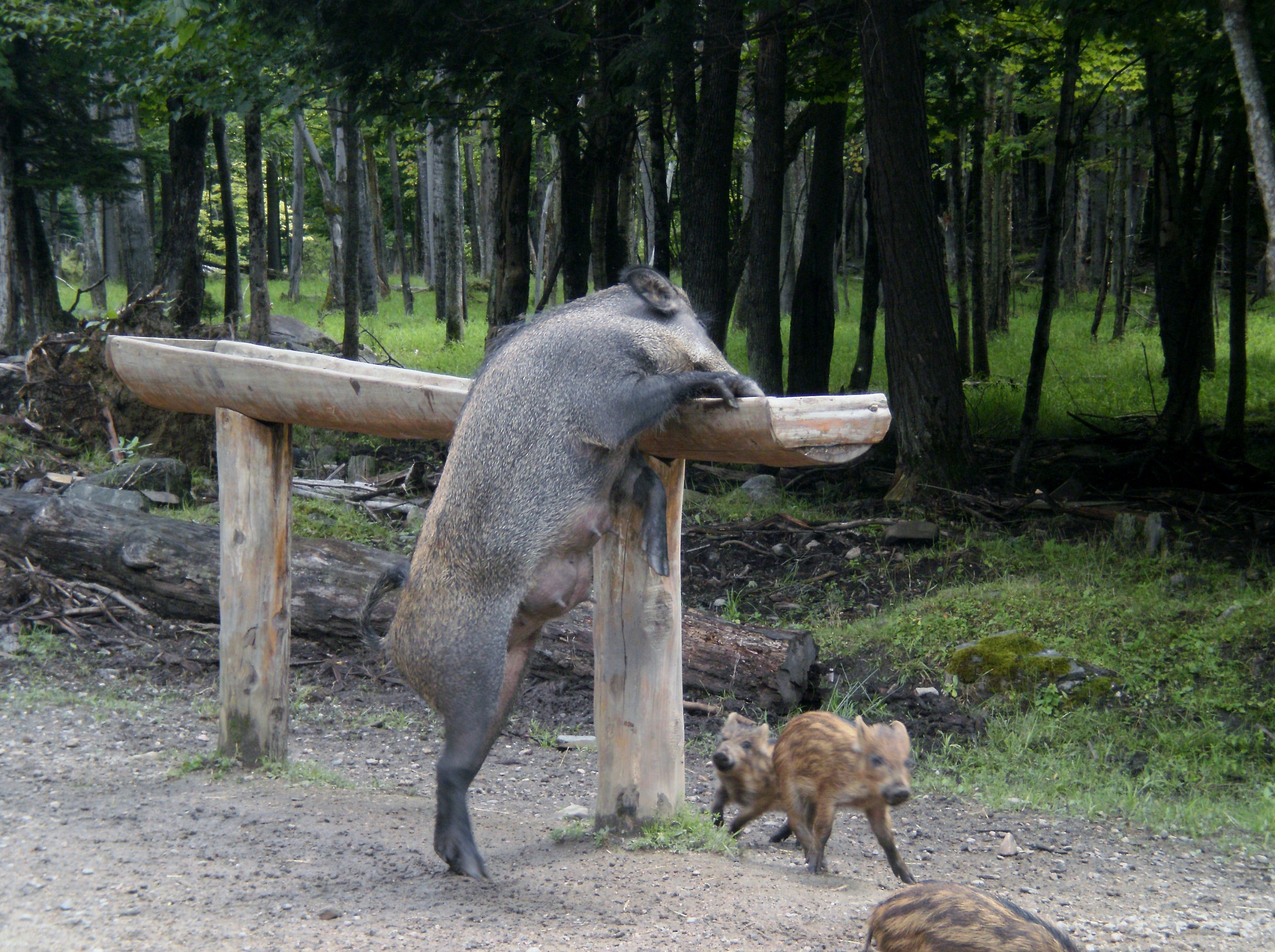 Vediamo cosa c'è...
