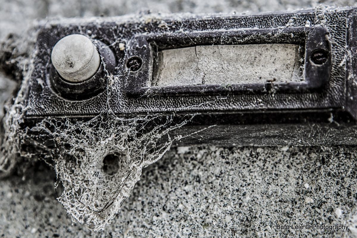 Campanello della tana del ragno... suonare e attendere