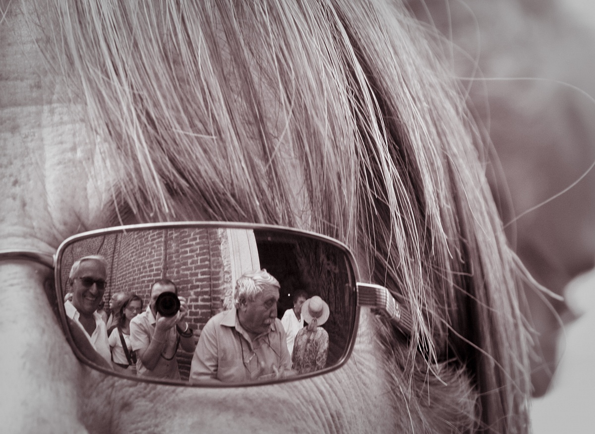 Glare and reflections