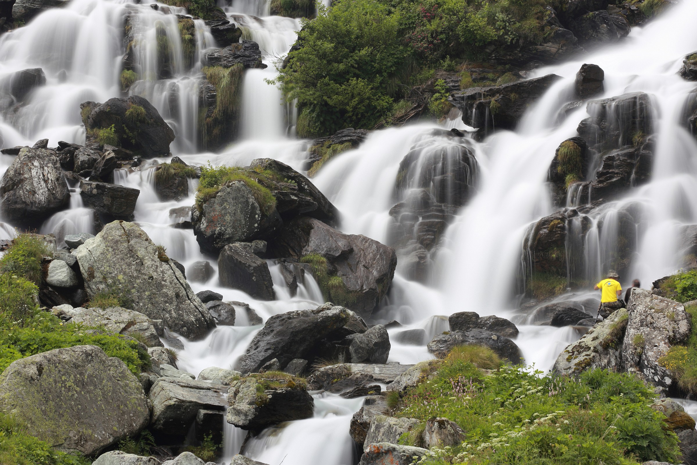 In the presence of the King of Stone