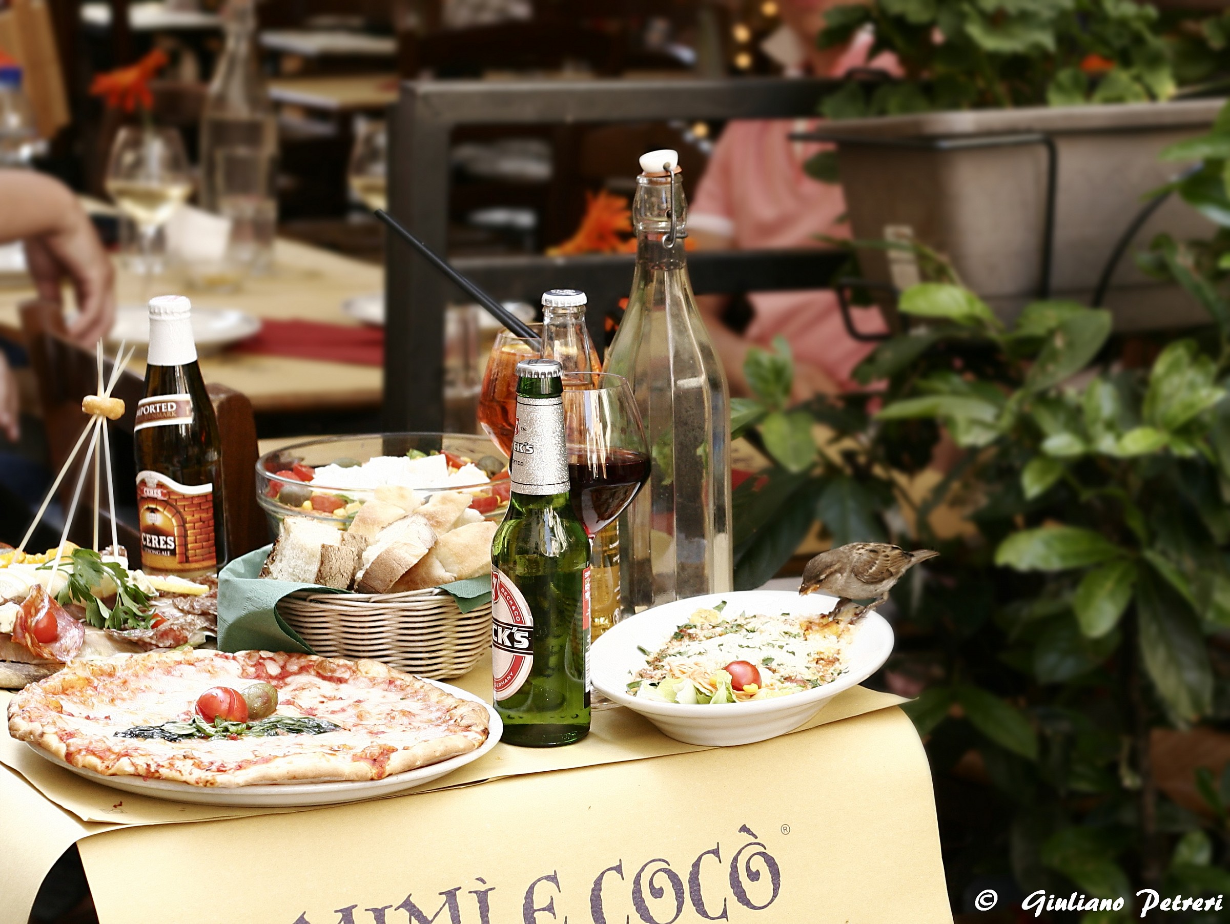 un pranzo a testaccio