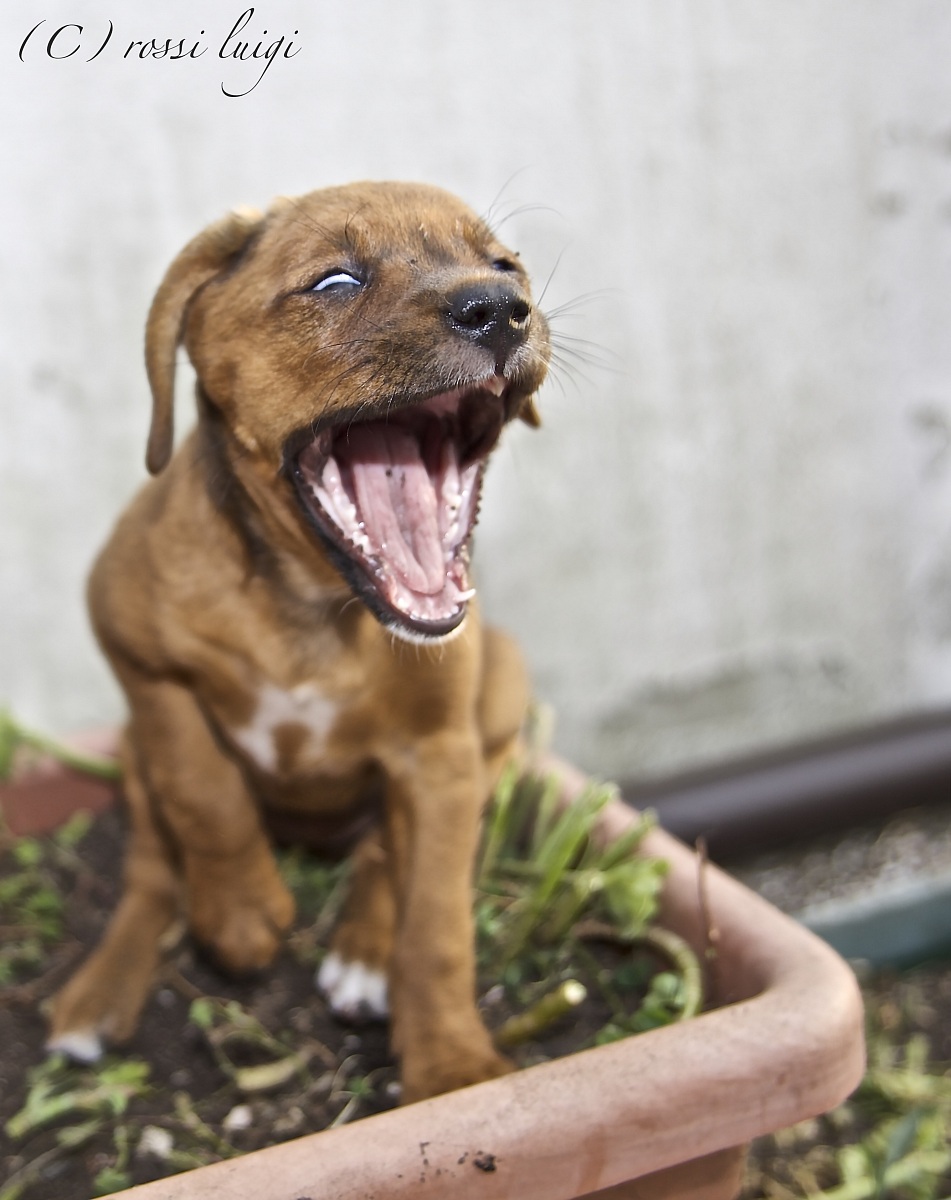 che cattivo che sono eh...