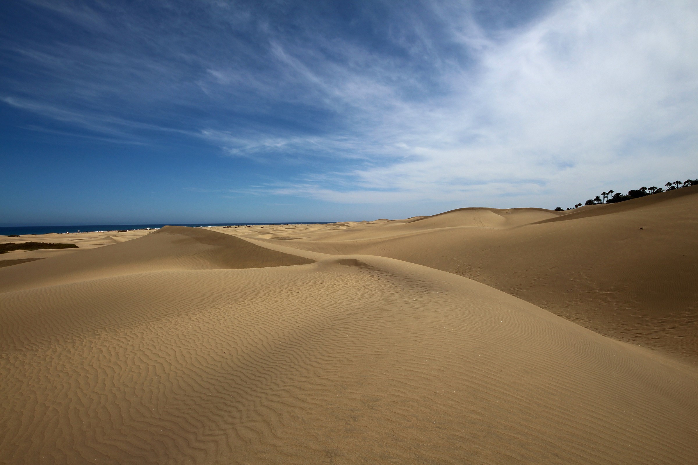 maspalomas, canary islands, spain