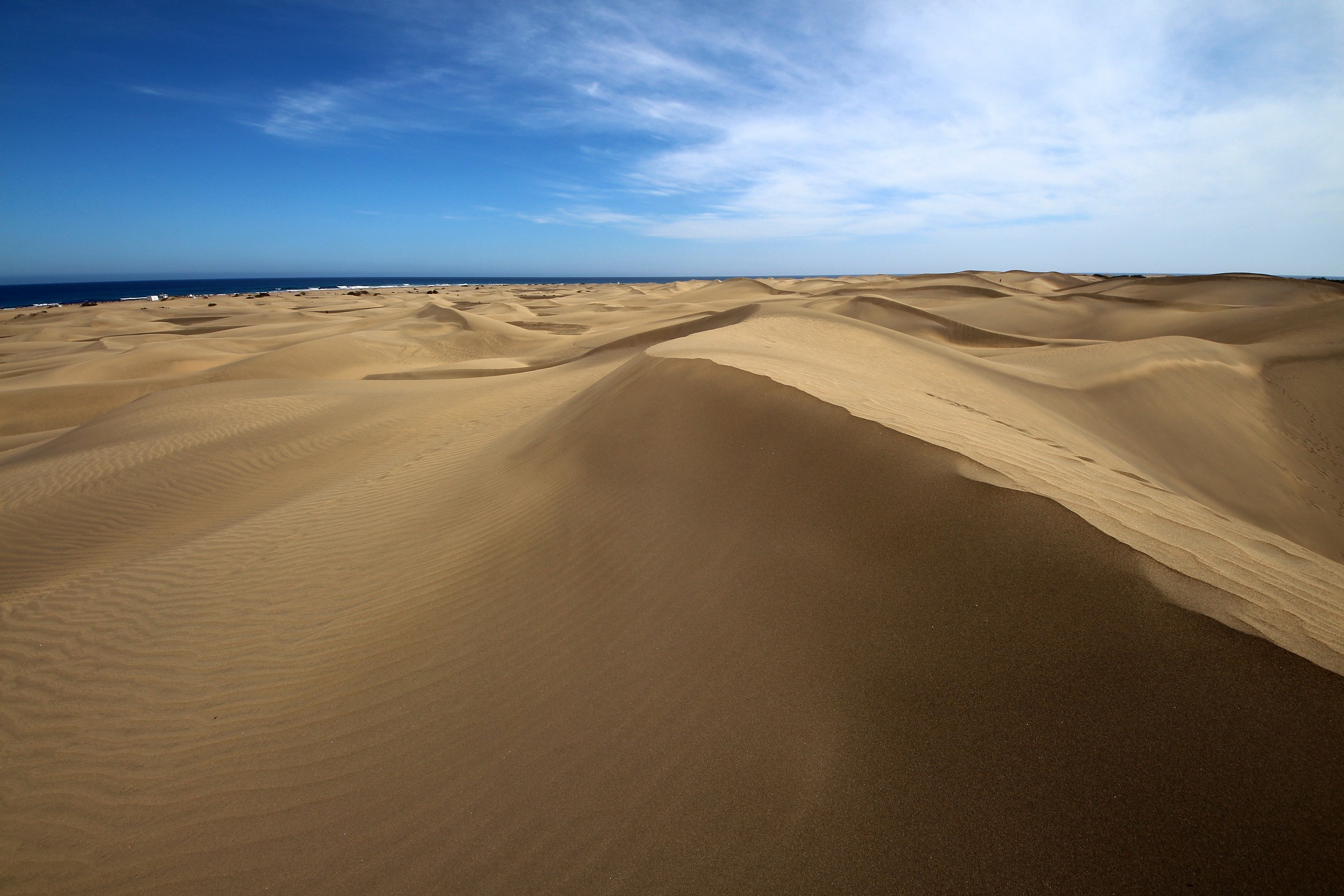 maspalomas, canary islands, spain