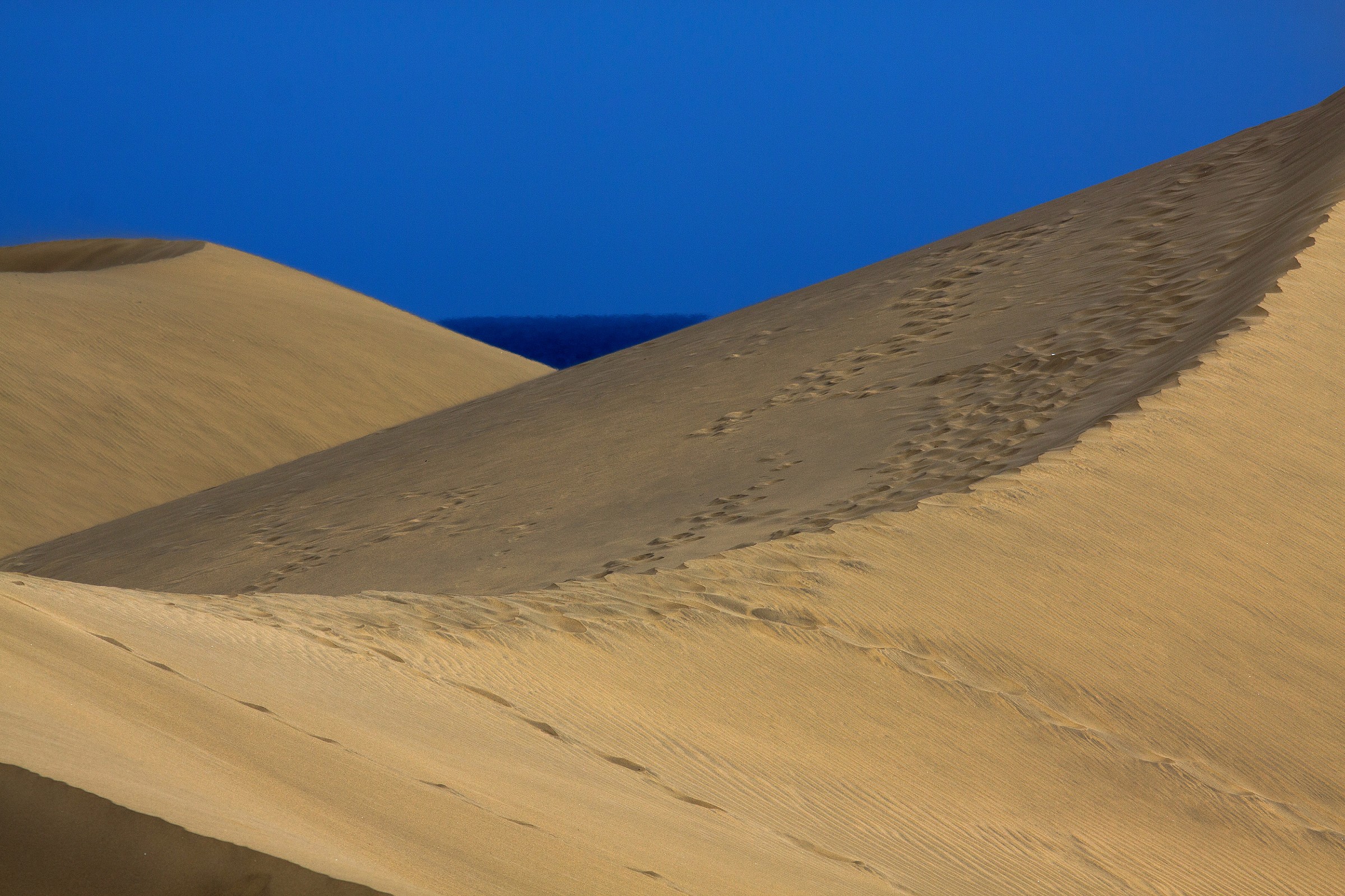 maspalomas, canary islands, spain
