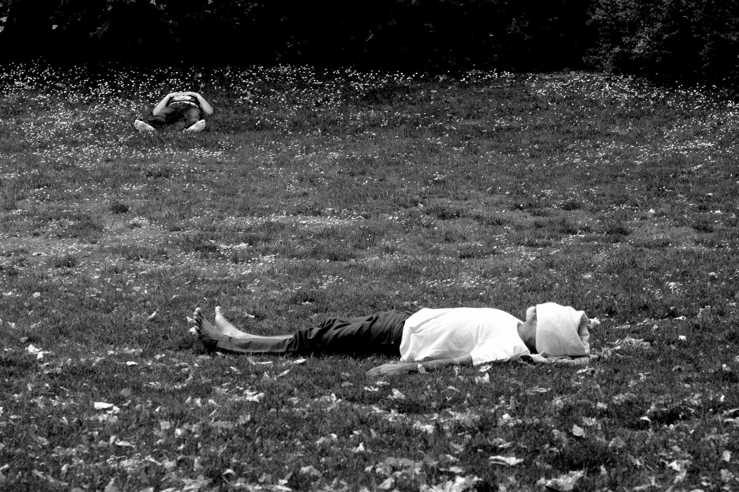 Men sleeping in the park