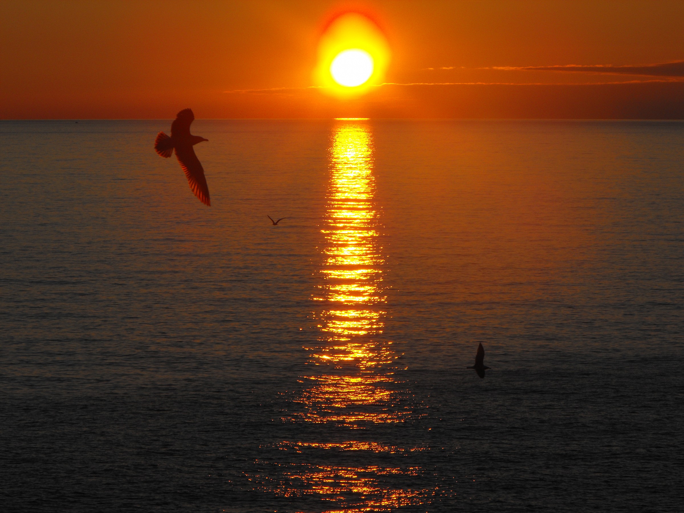 Sunset in Manarola
