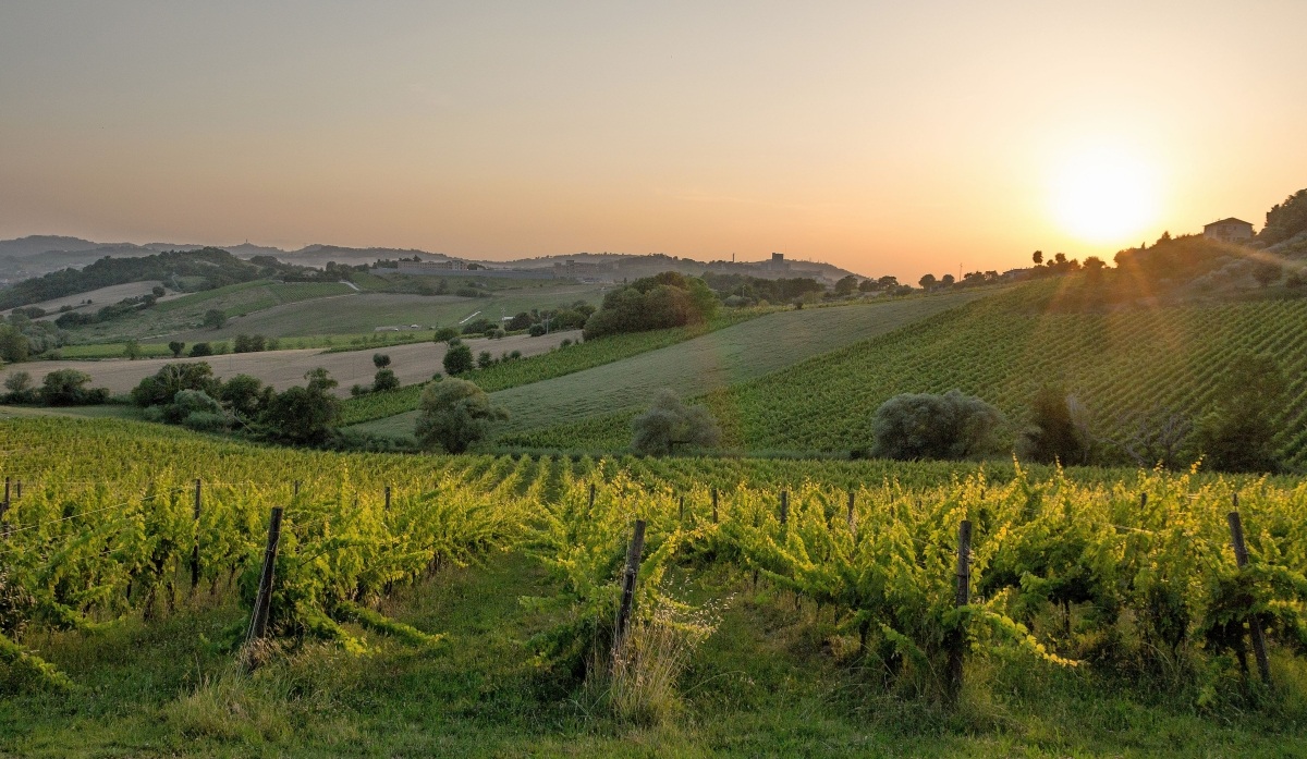 Tramonto Rosso Conero