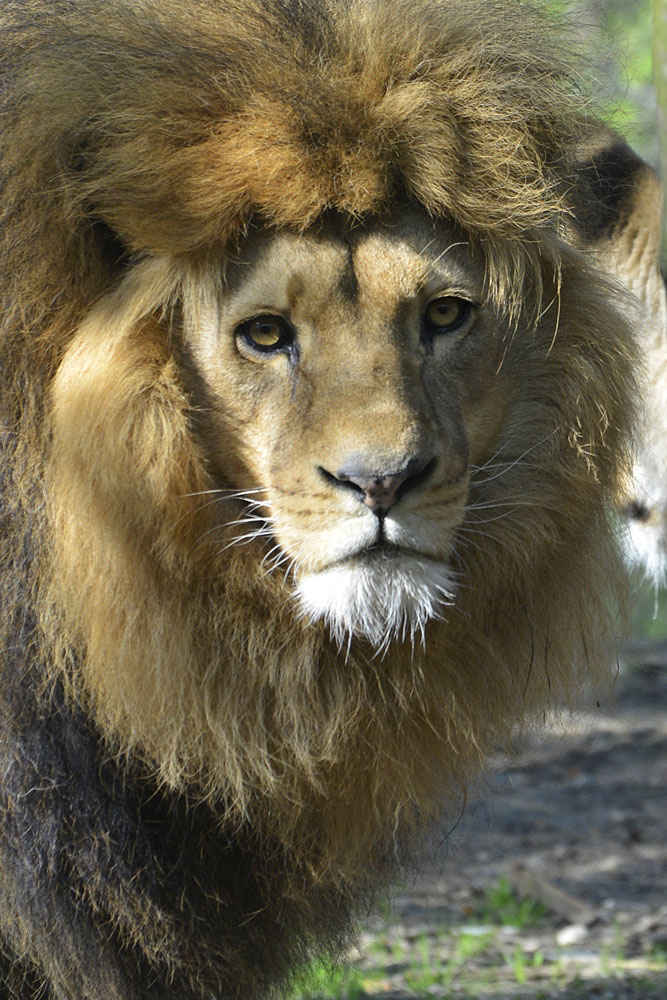 Giardino zoologico Pistoia