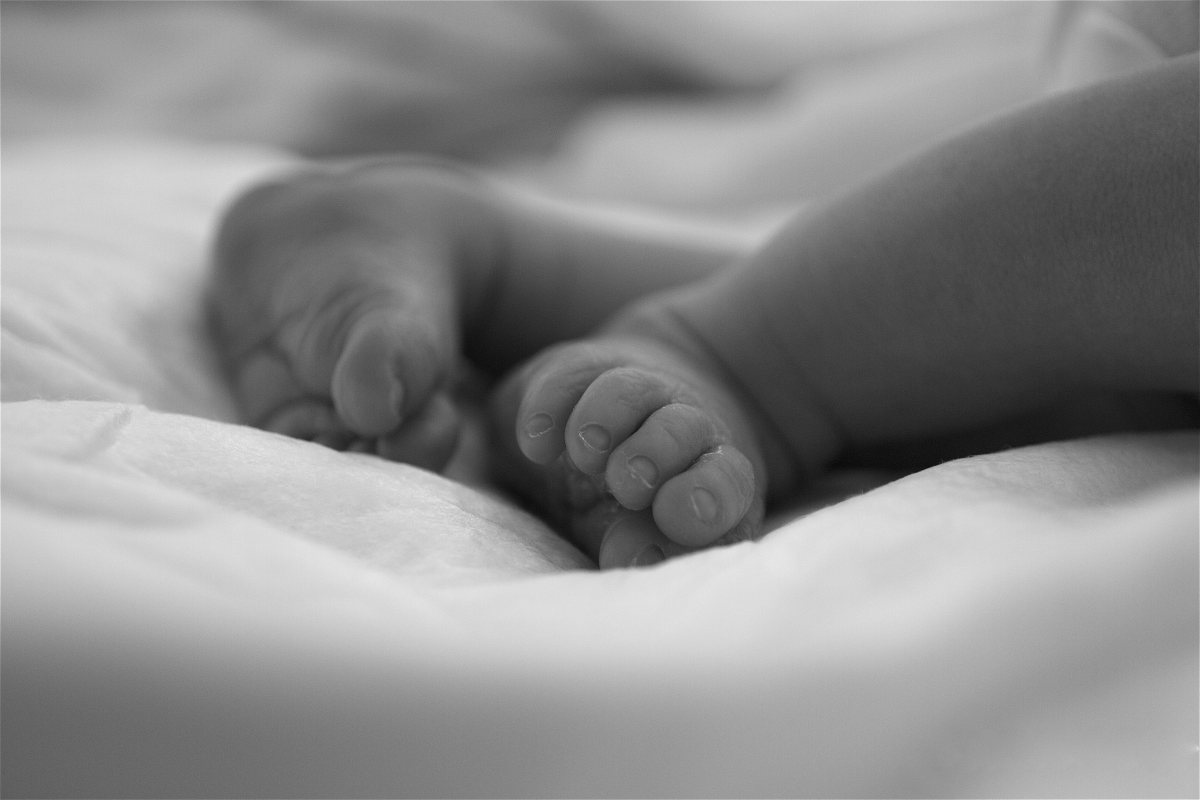 new one in the world