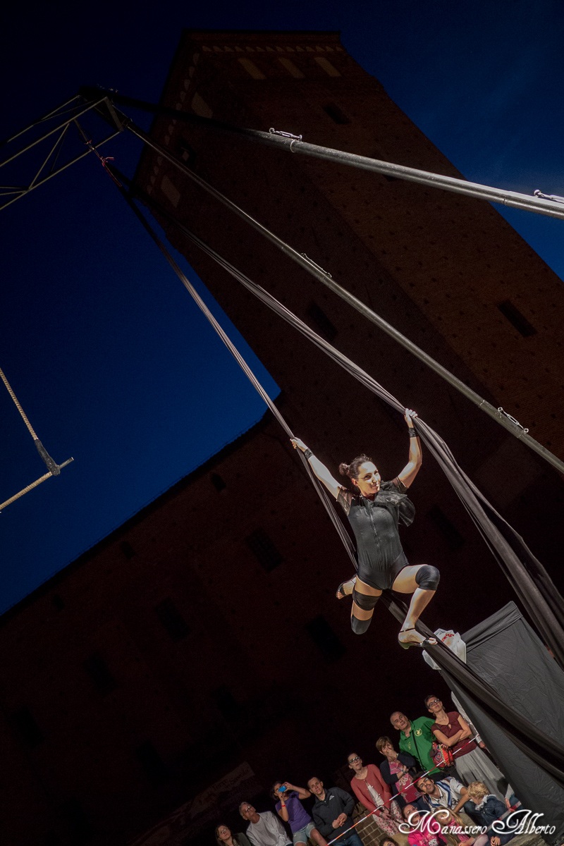 falls from the clouds - dandelion