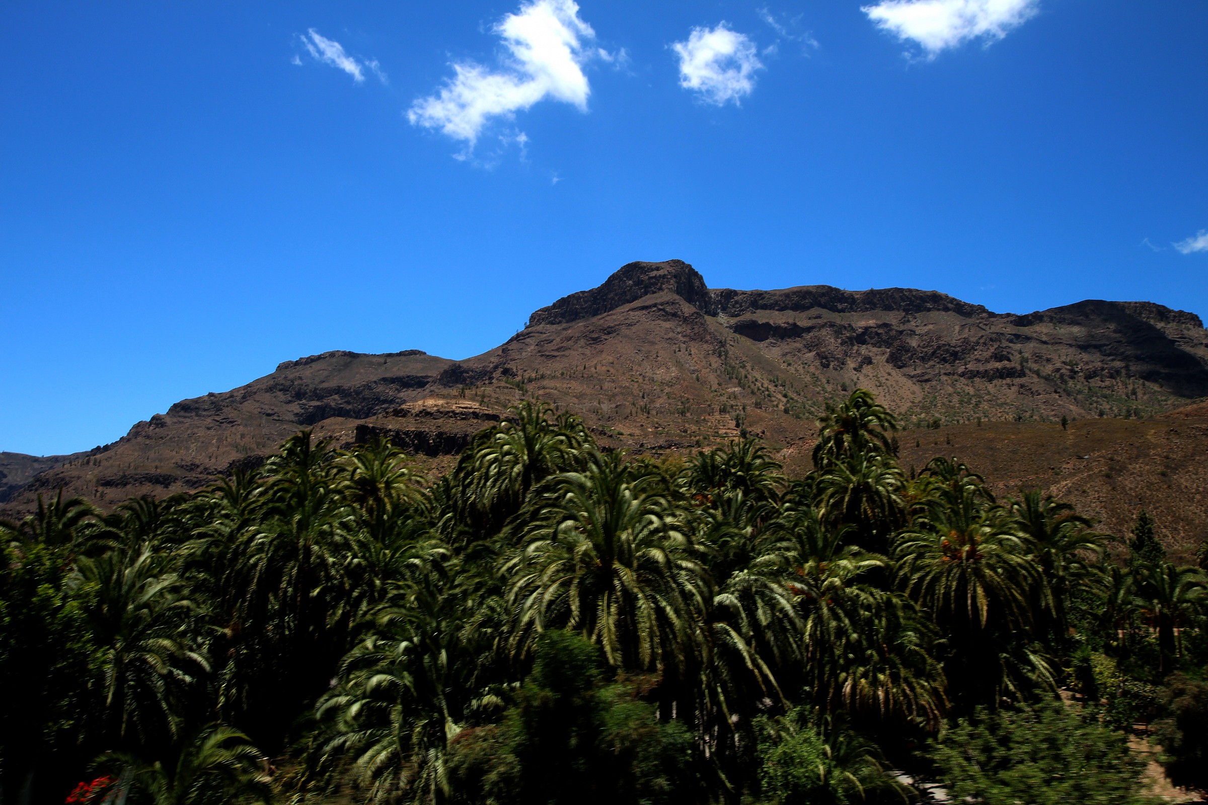 Gran Canaria, the south