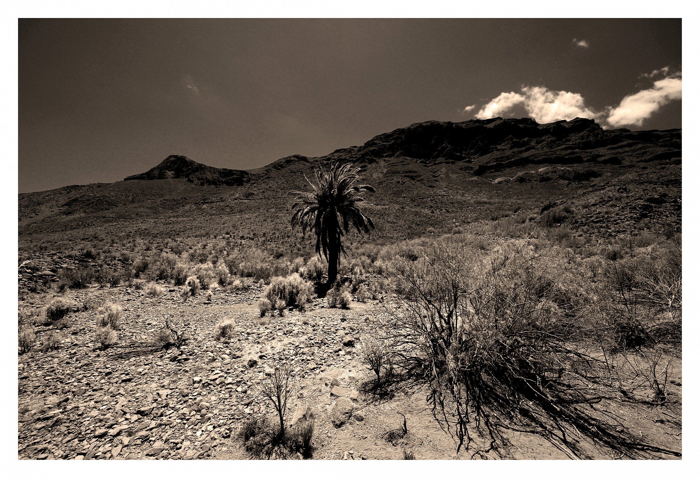 Gran Canaria, the south